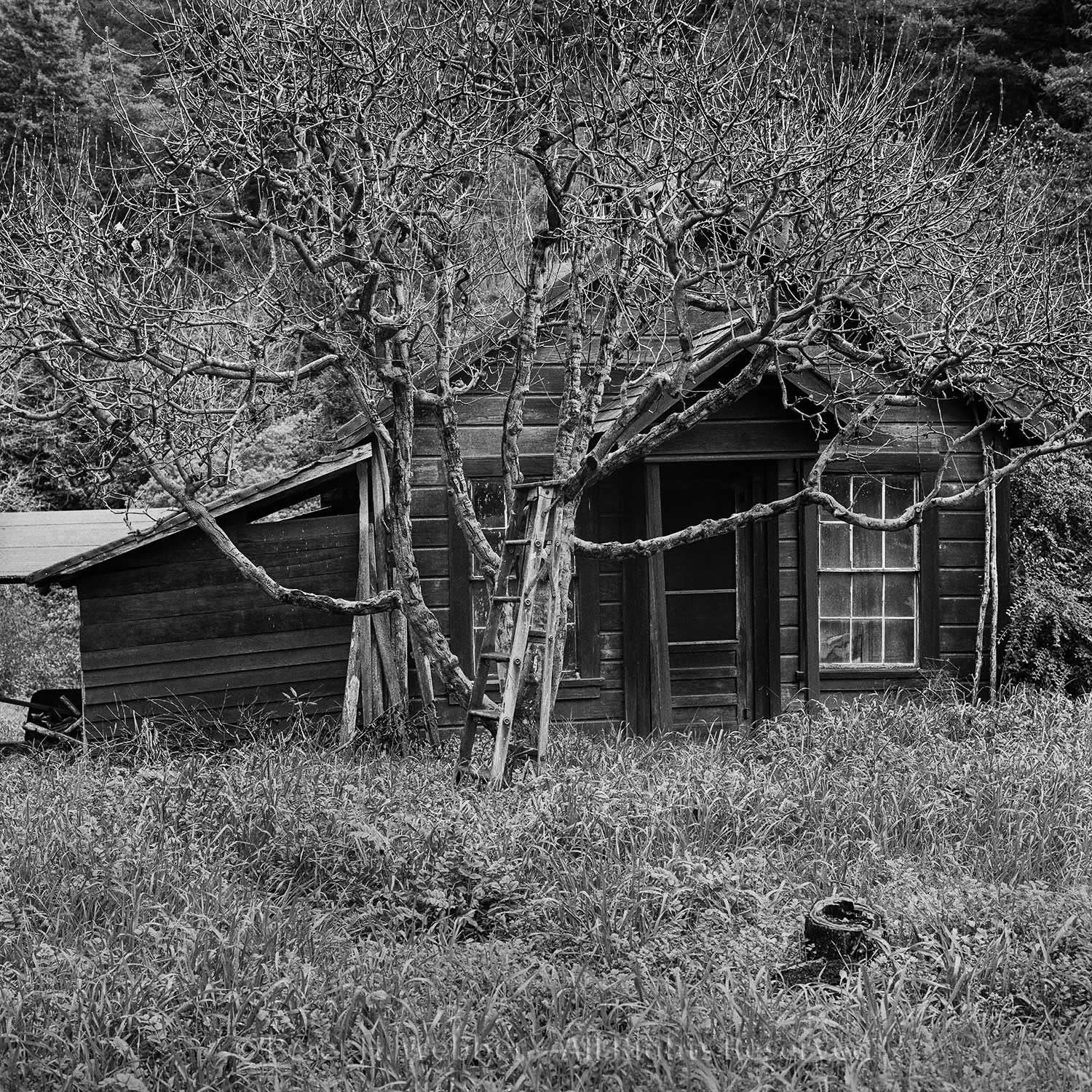 fixer-upper.jpg