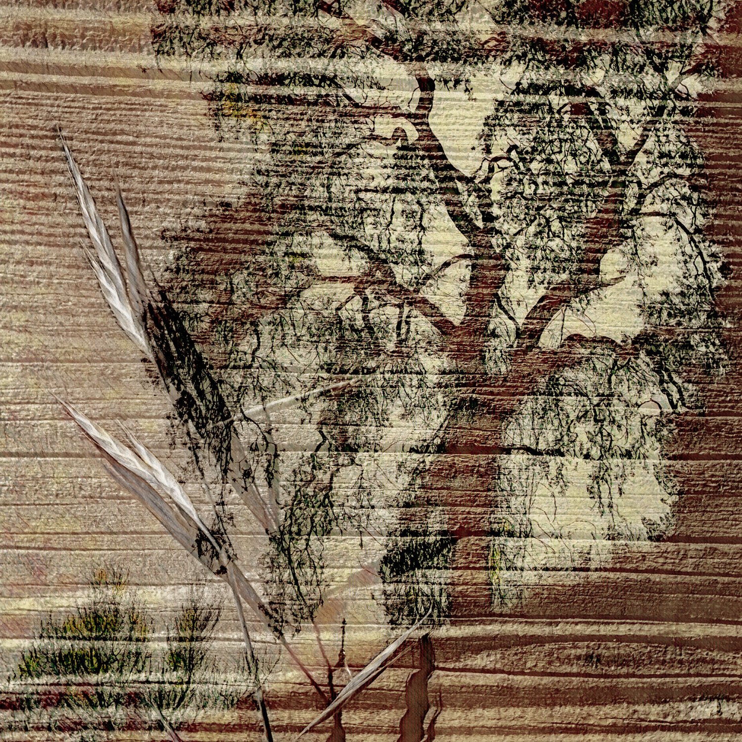 grass_and_grain.jpg