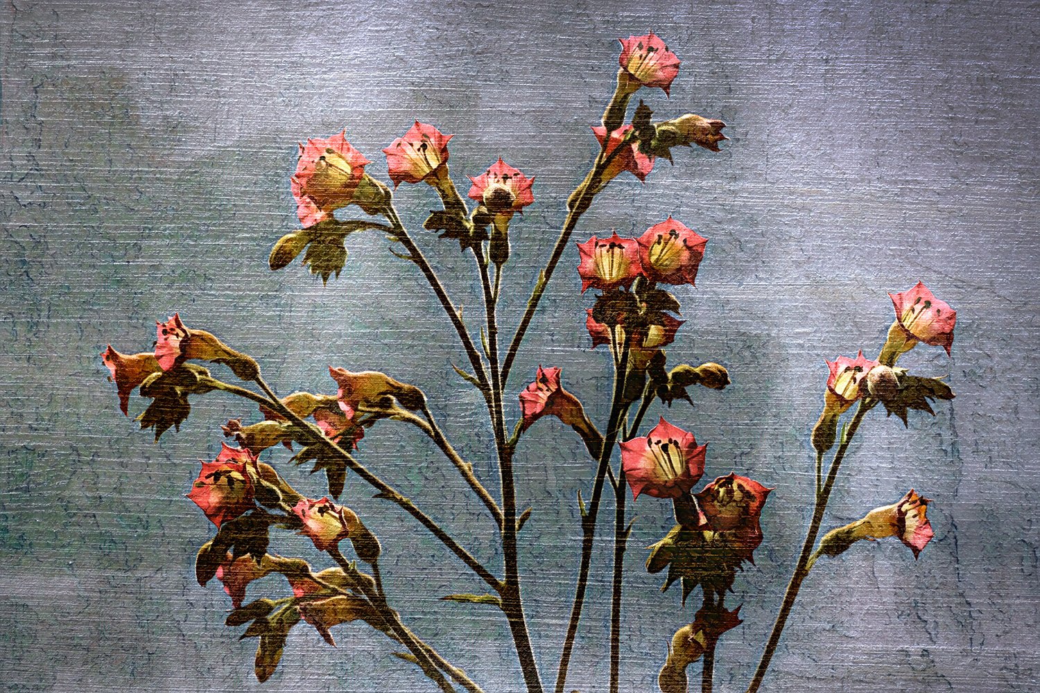 blossoms&board.jpg