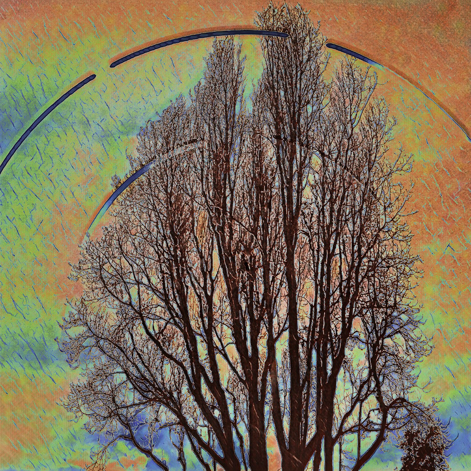 solarization1.jpg