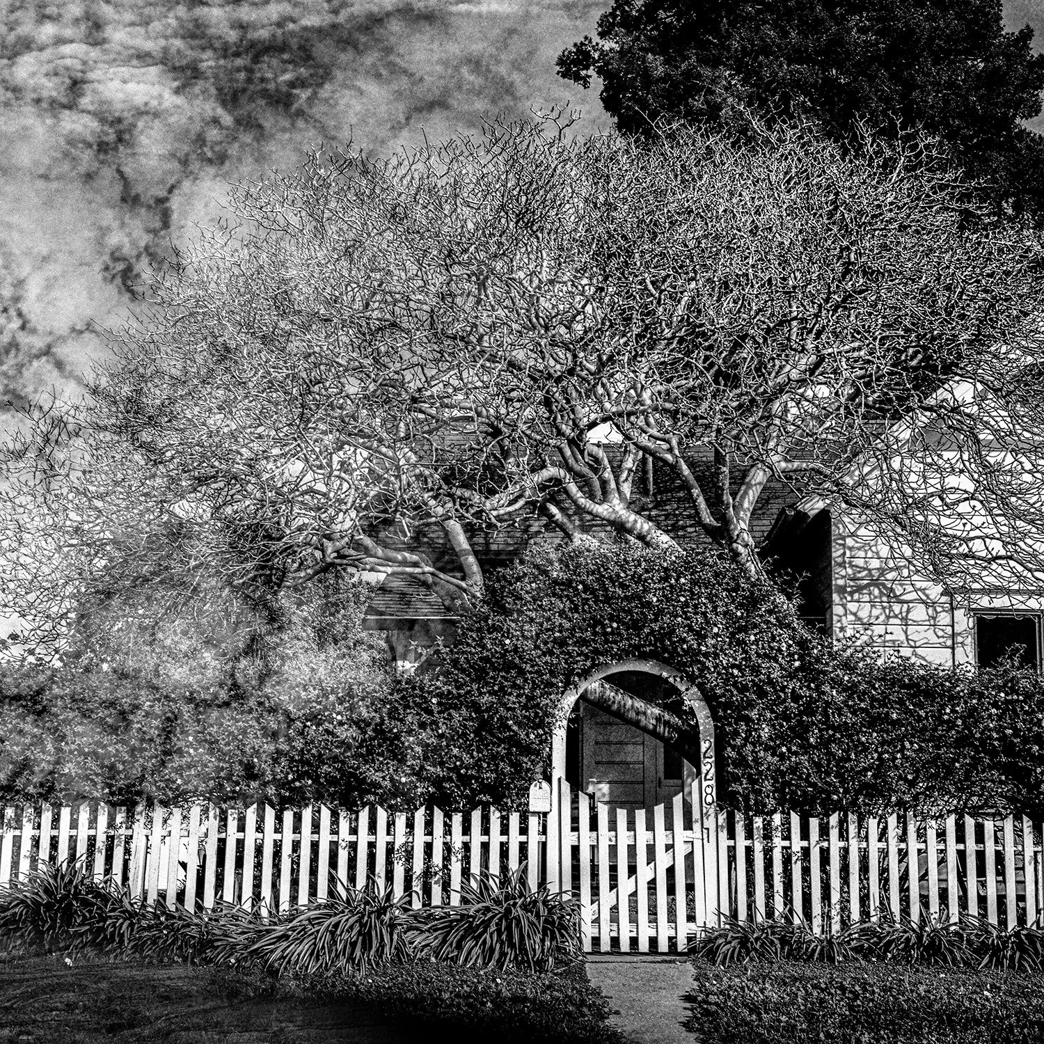 seabright_neighborhood.jpg