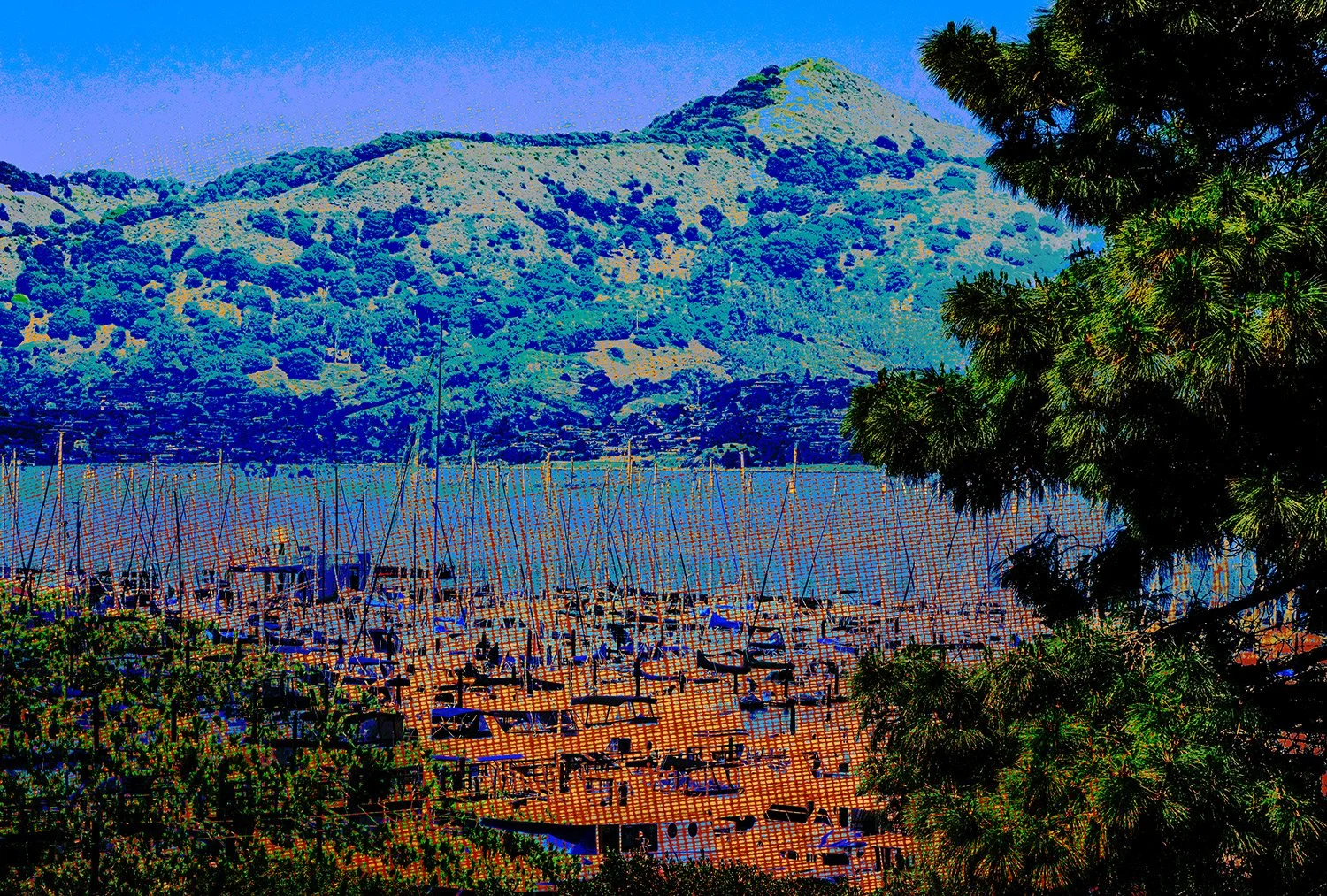 sausalito_harbor.jpg