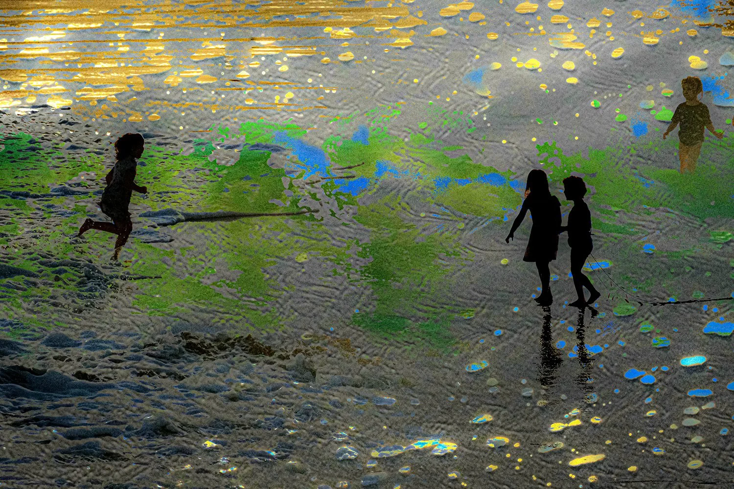 shore_play.jpg