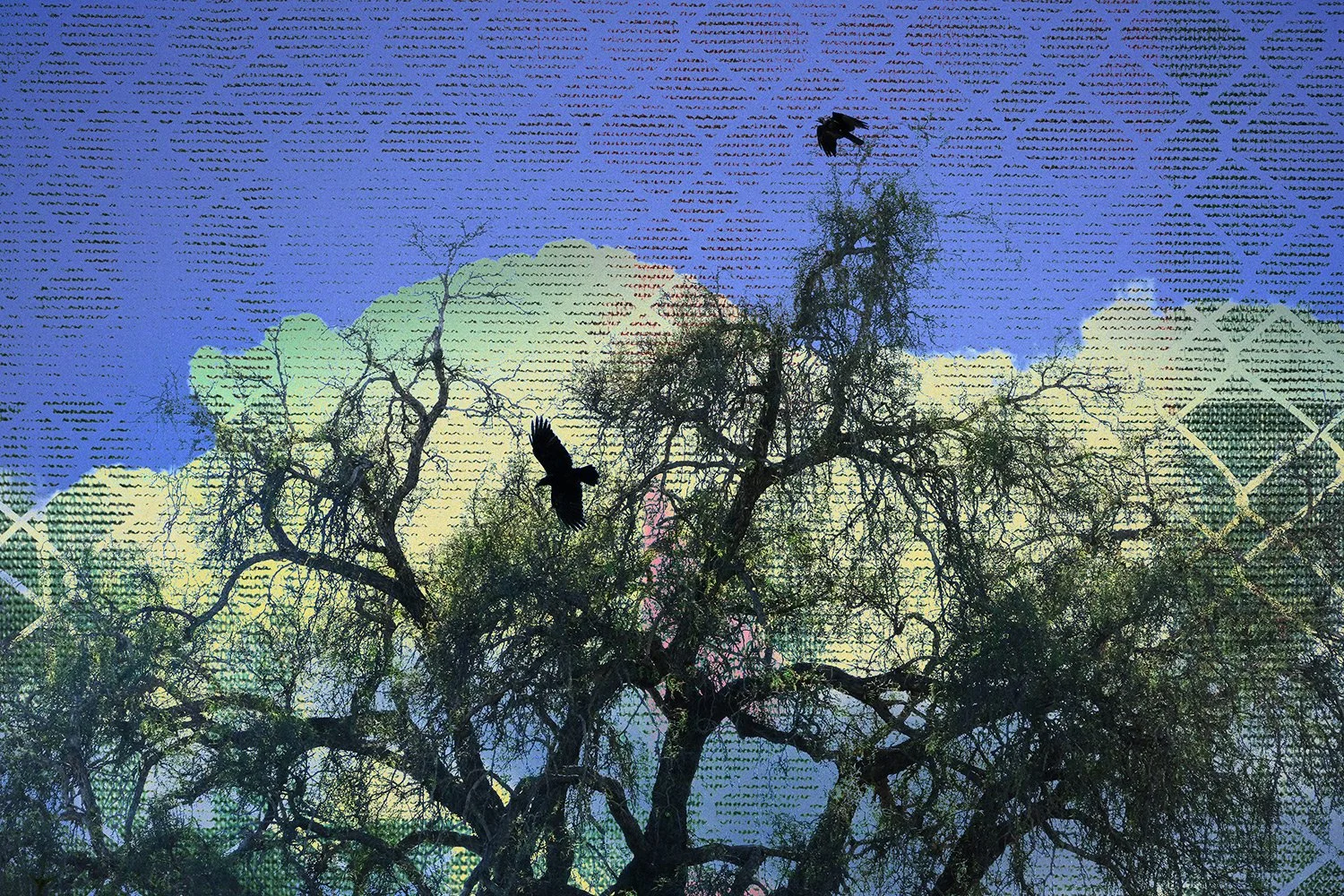 yellow_clouds.jpg