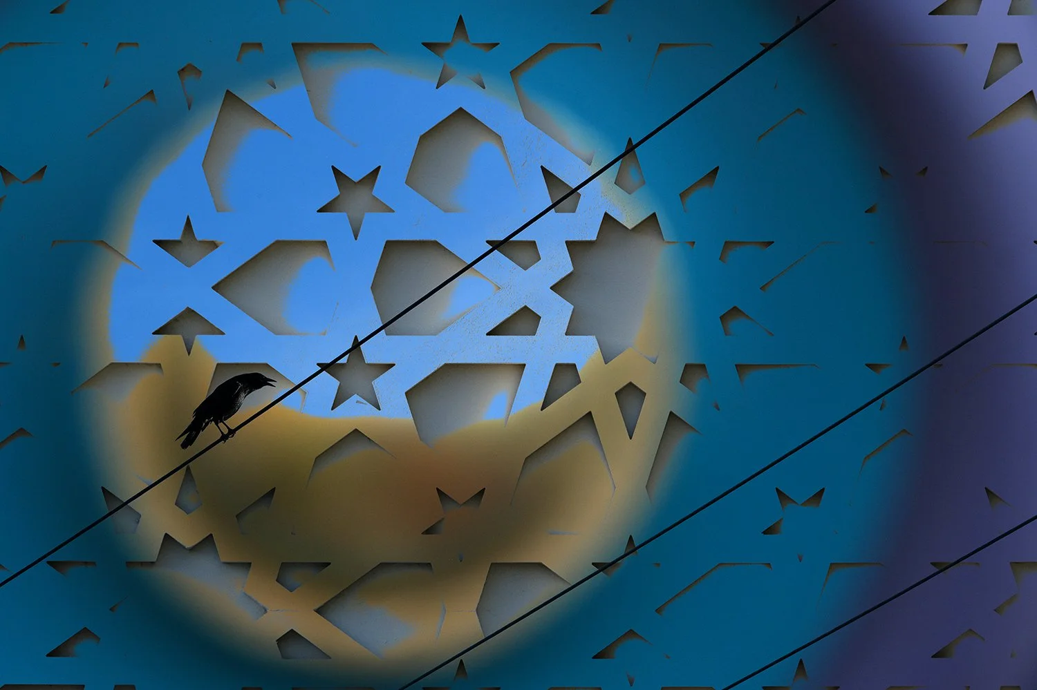 star_crowing.jpg