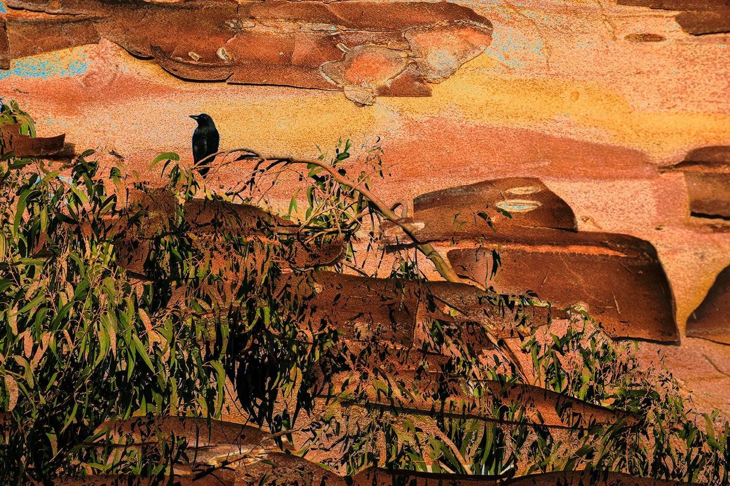 redrock.jpg