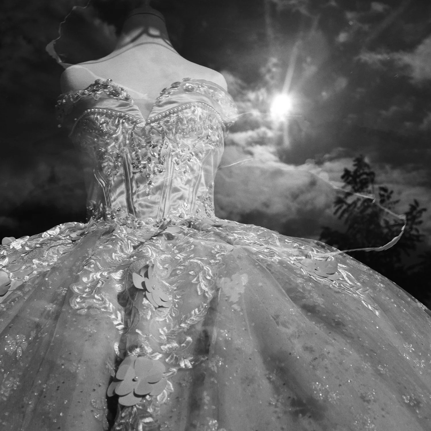 the_gown.jpg