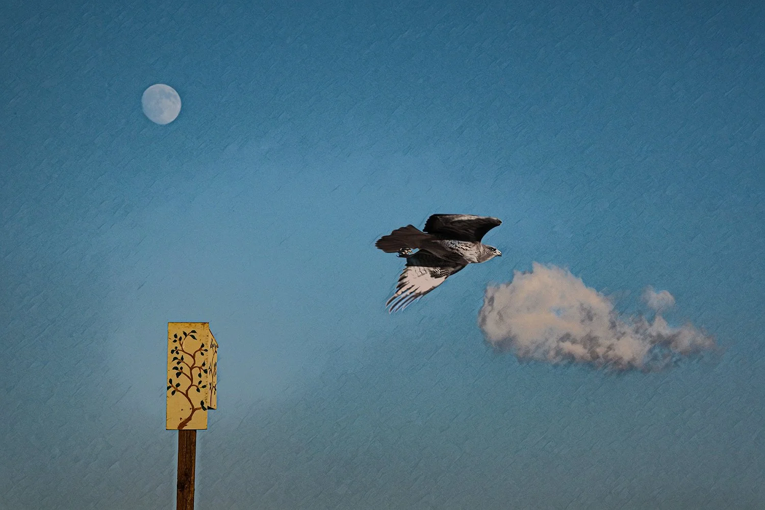 crow_flight_neural.jpg