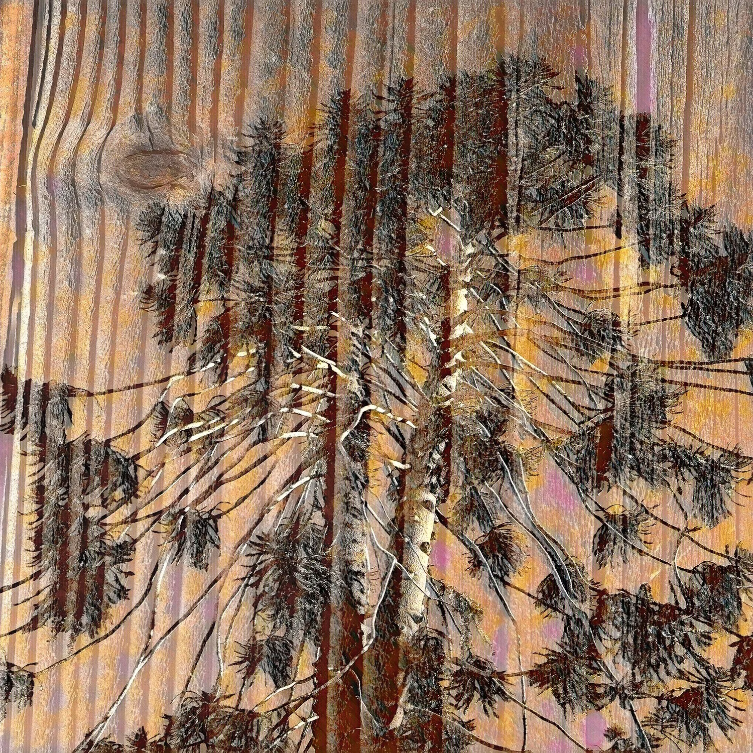 tree2.jpg
