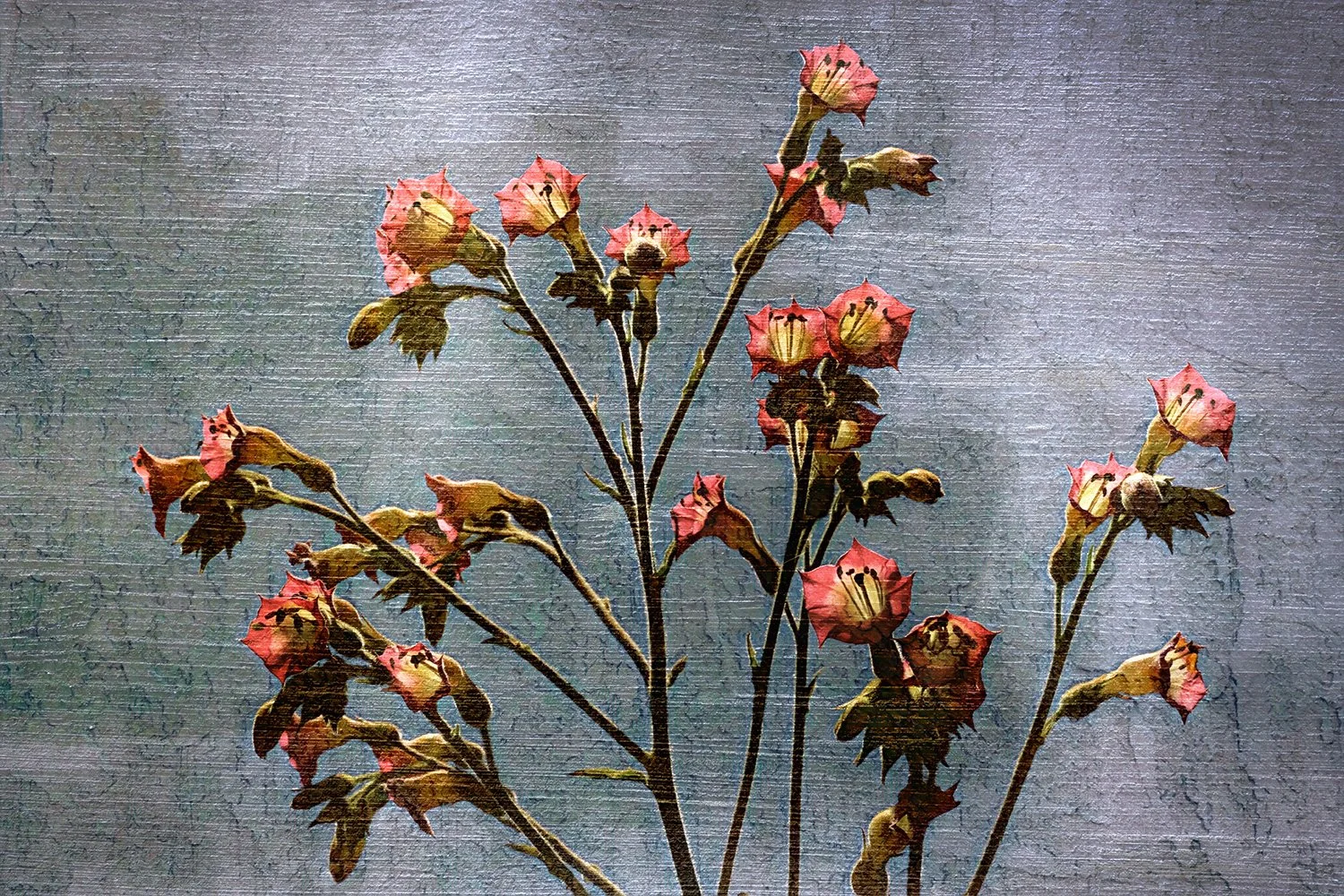 blossoms&board.jpg