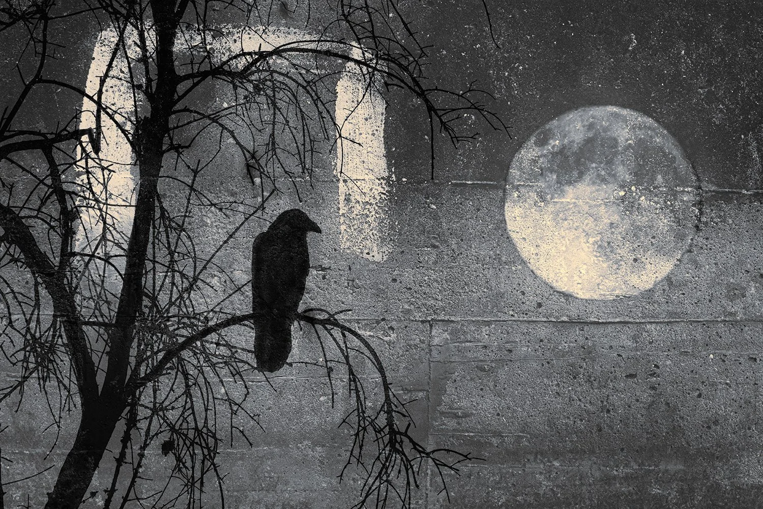 moon-rising.jpg