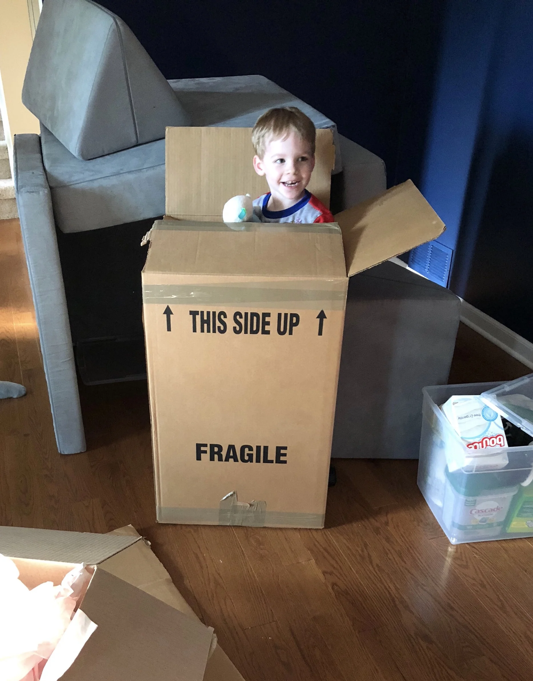 My family and I moved this past summer. Yes, that’s my little boy in a box but, also notice the clear, lidded utility bin.