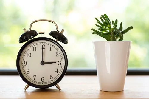 The 5-Minute Stay Organized Solution