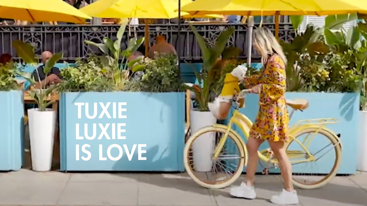 Watch The Video: TUXIE LUXIE is Love
