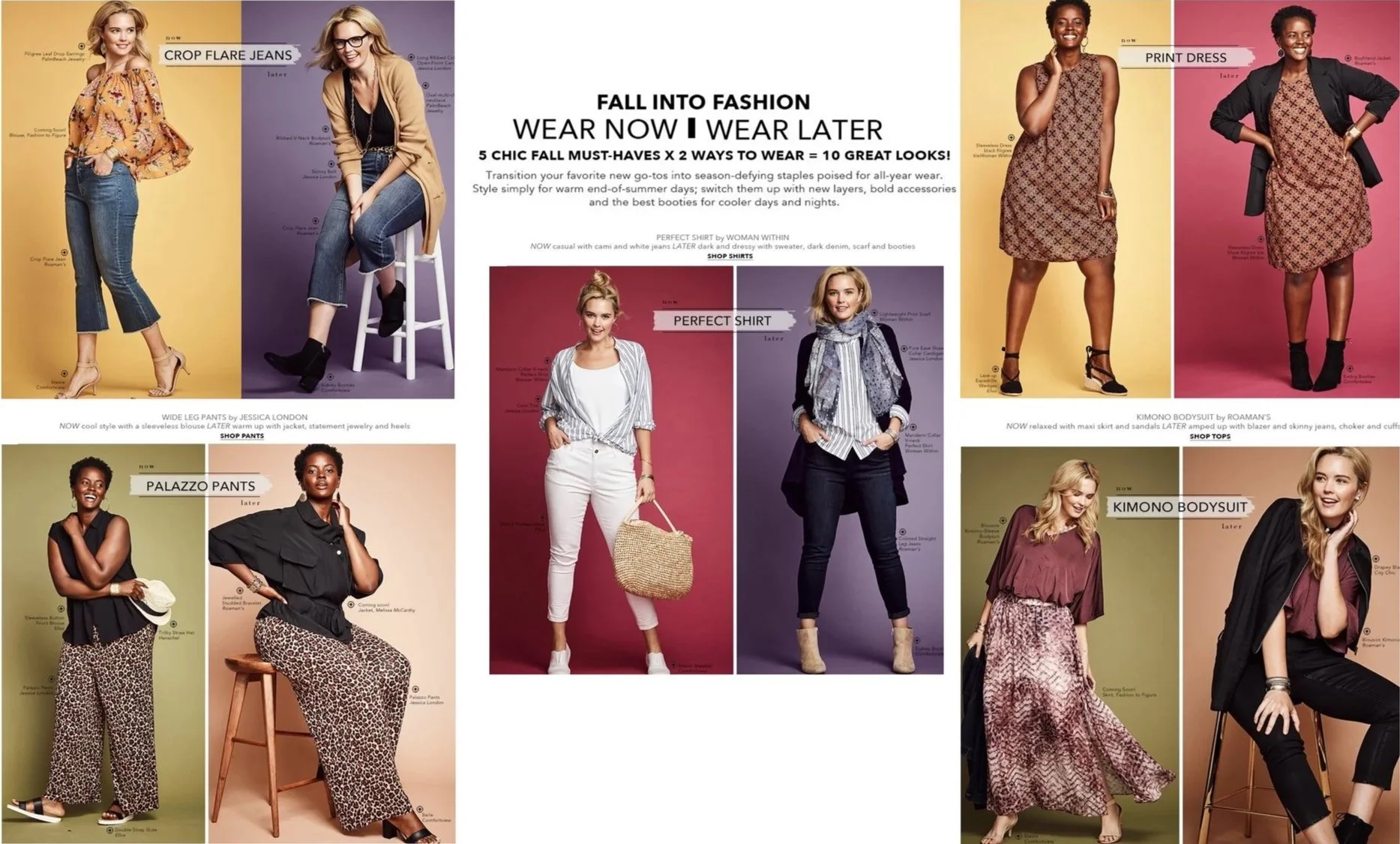 Distinct visual languages shaping cohesive brand experiences.