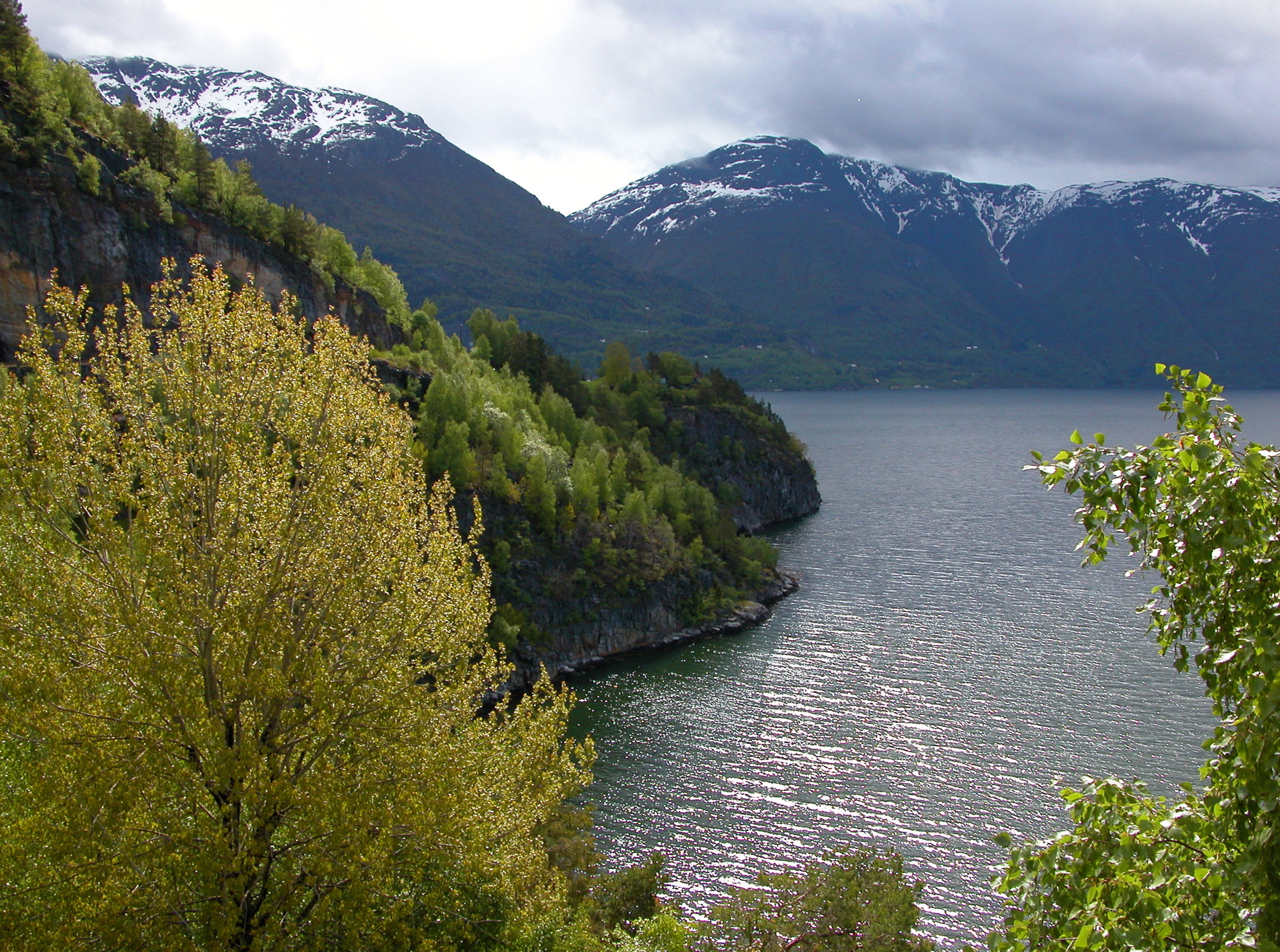  Lusterfjorden from the roadside 