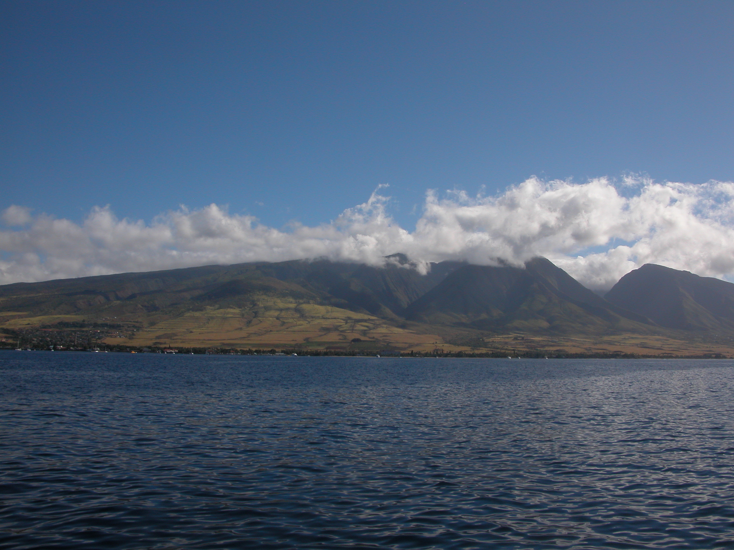  Maui and the harbour of Lahaina, as seen from the boat 