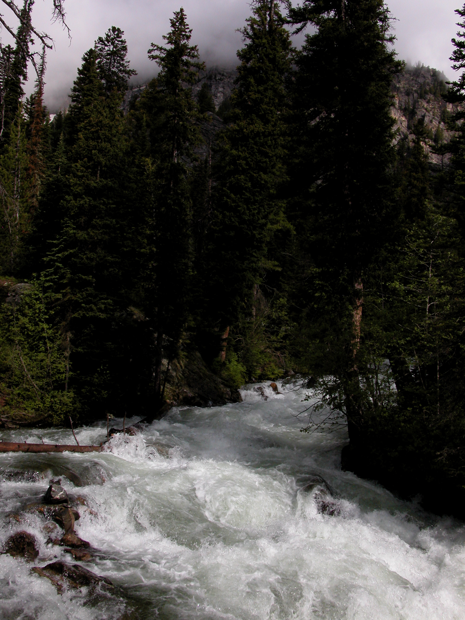  Rapids of Cascade Creek below Hidden Falls 