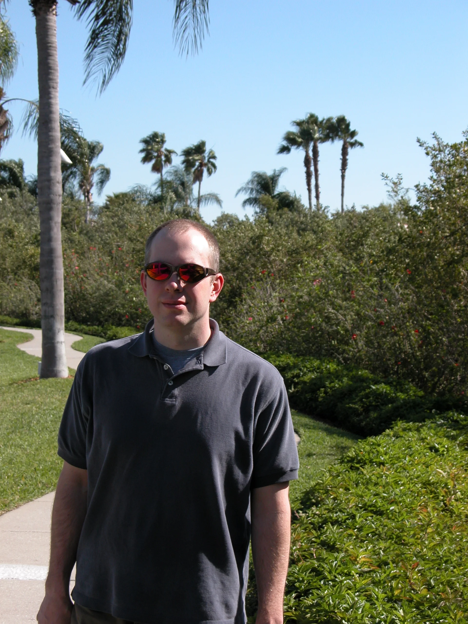 Tom in Tampa 