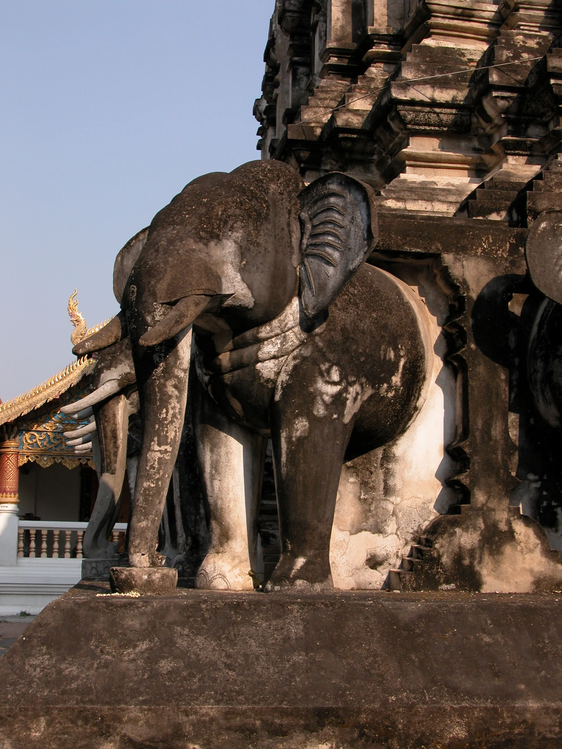  Close-up of Chiang Man temple elephant 