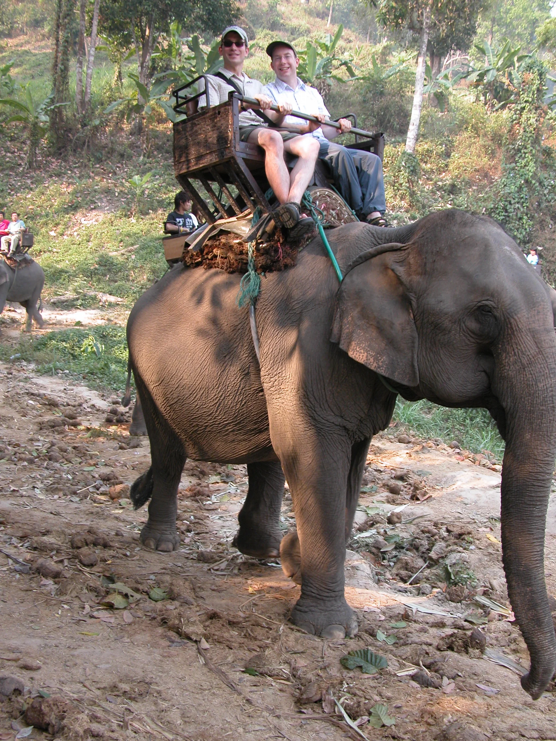 Gord and Tom on elephant ride through hills 