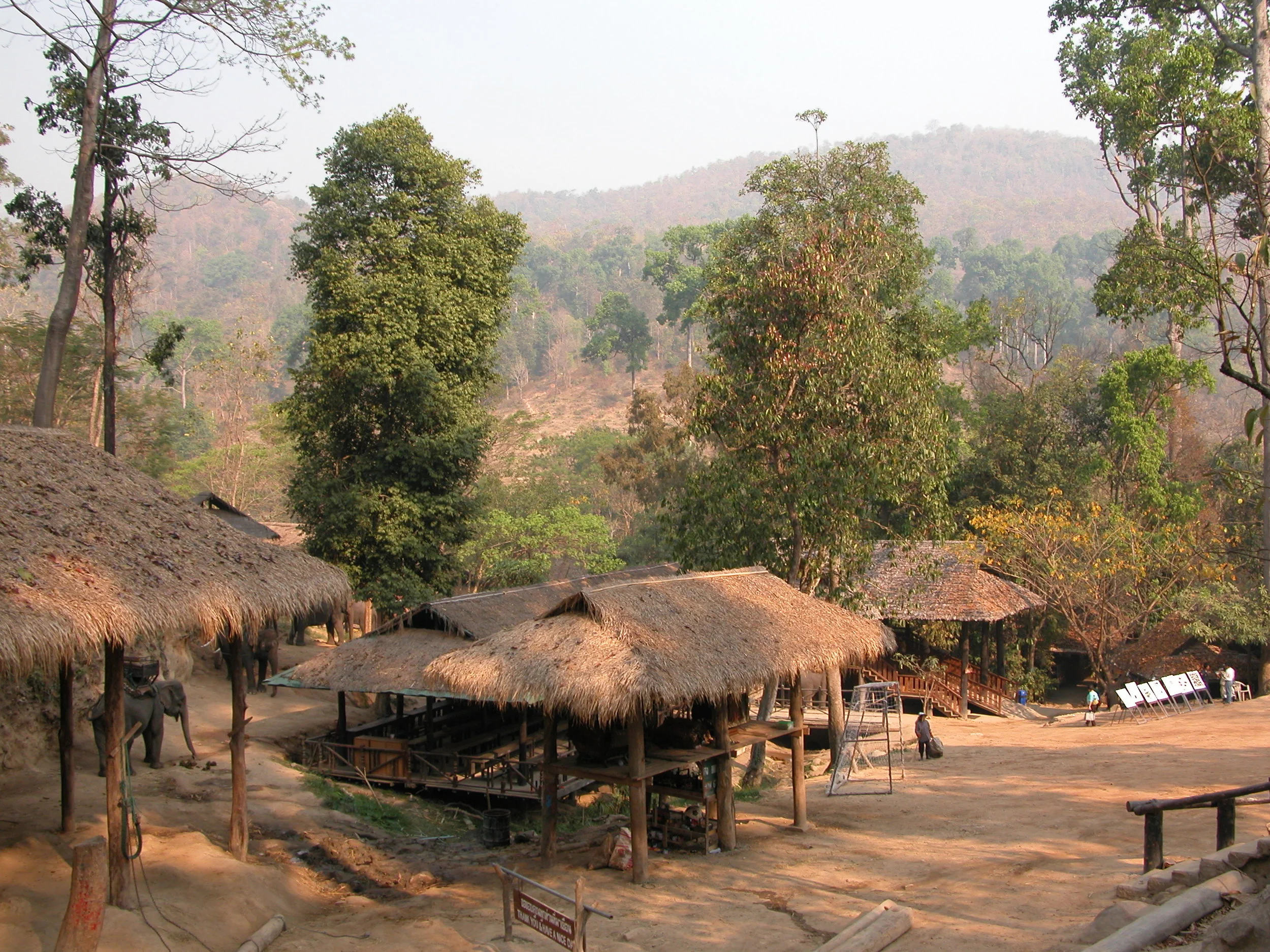  Mae Se Elephant Camp - 30 minutes north of city 