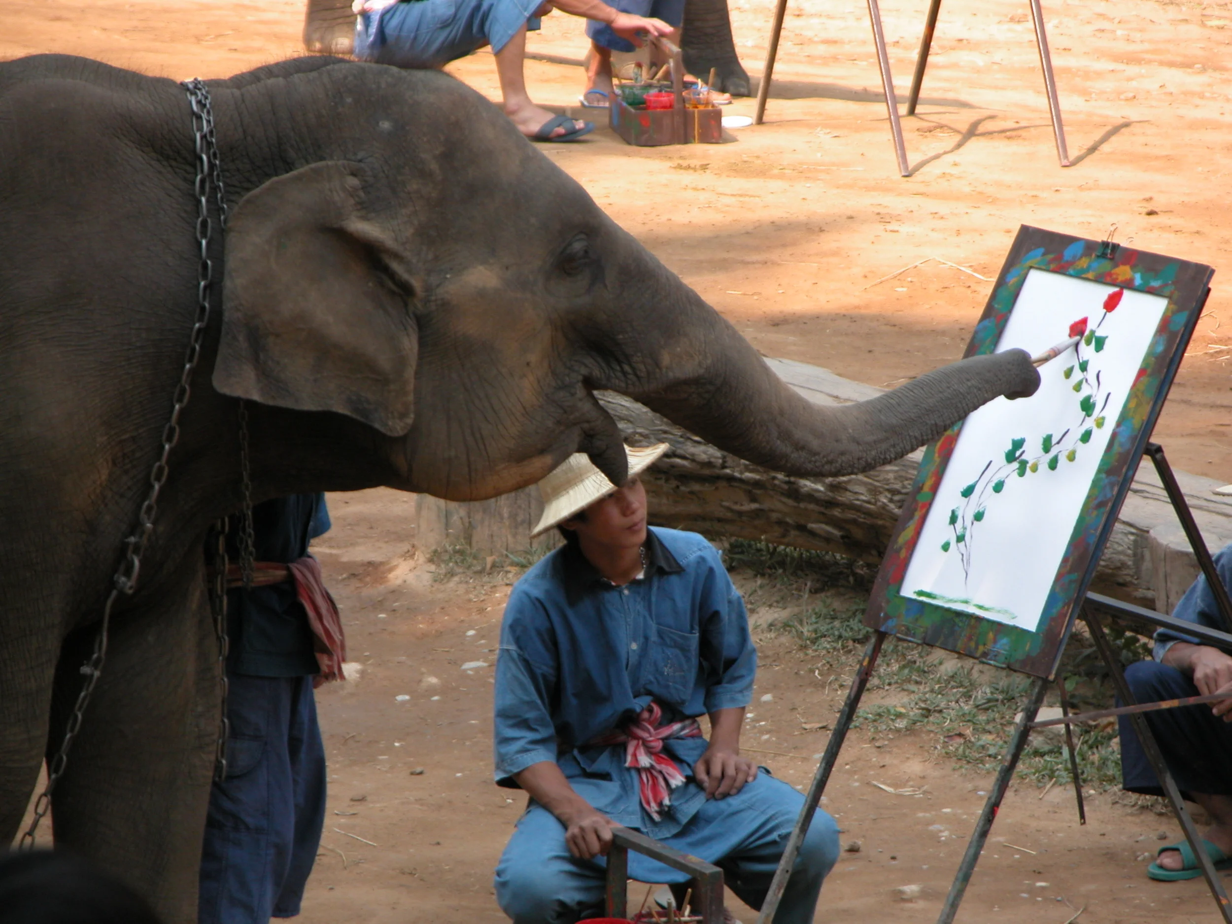  Elephant painting skills 