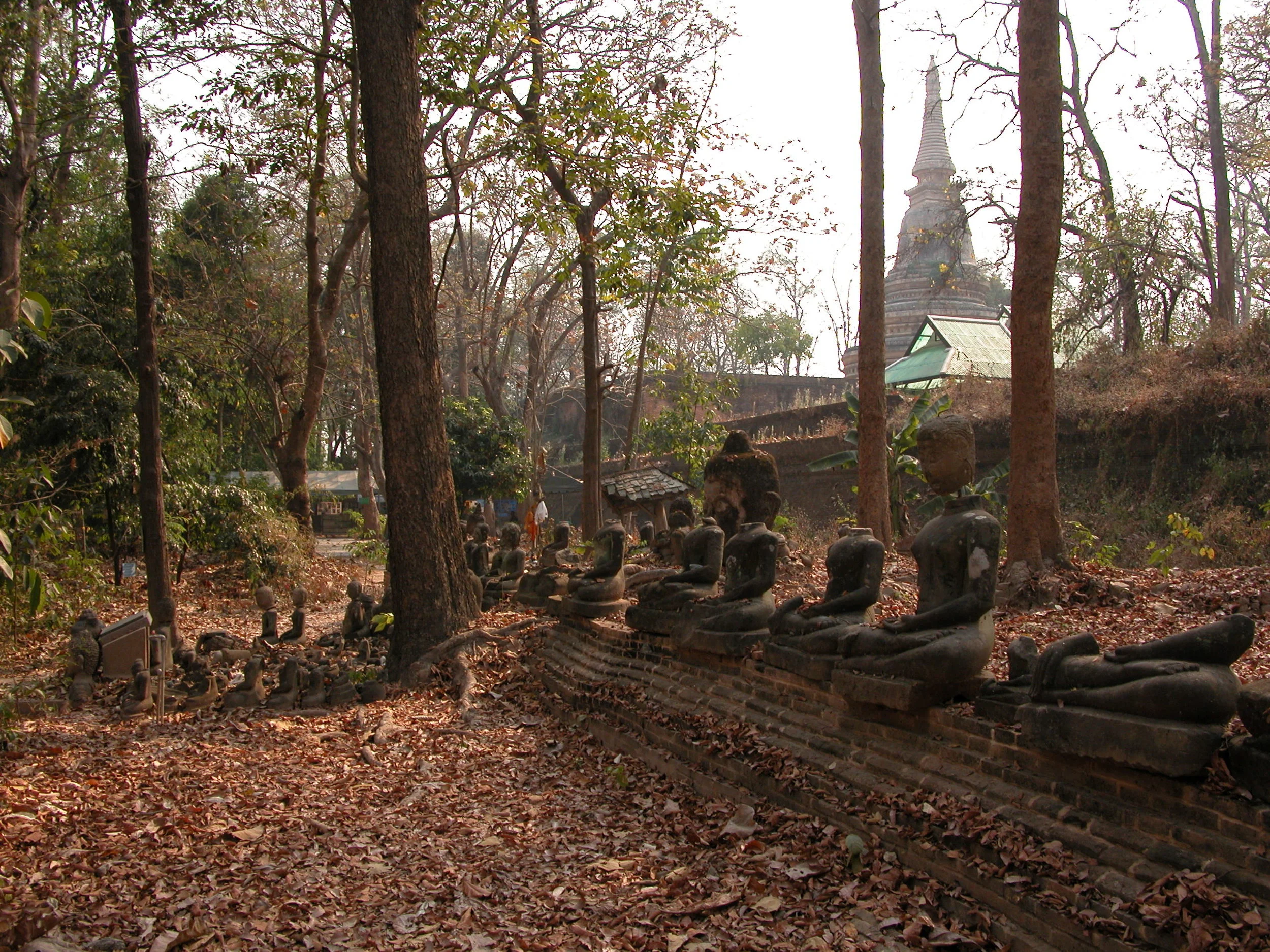  Wat Umong Grounds 