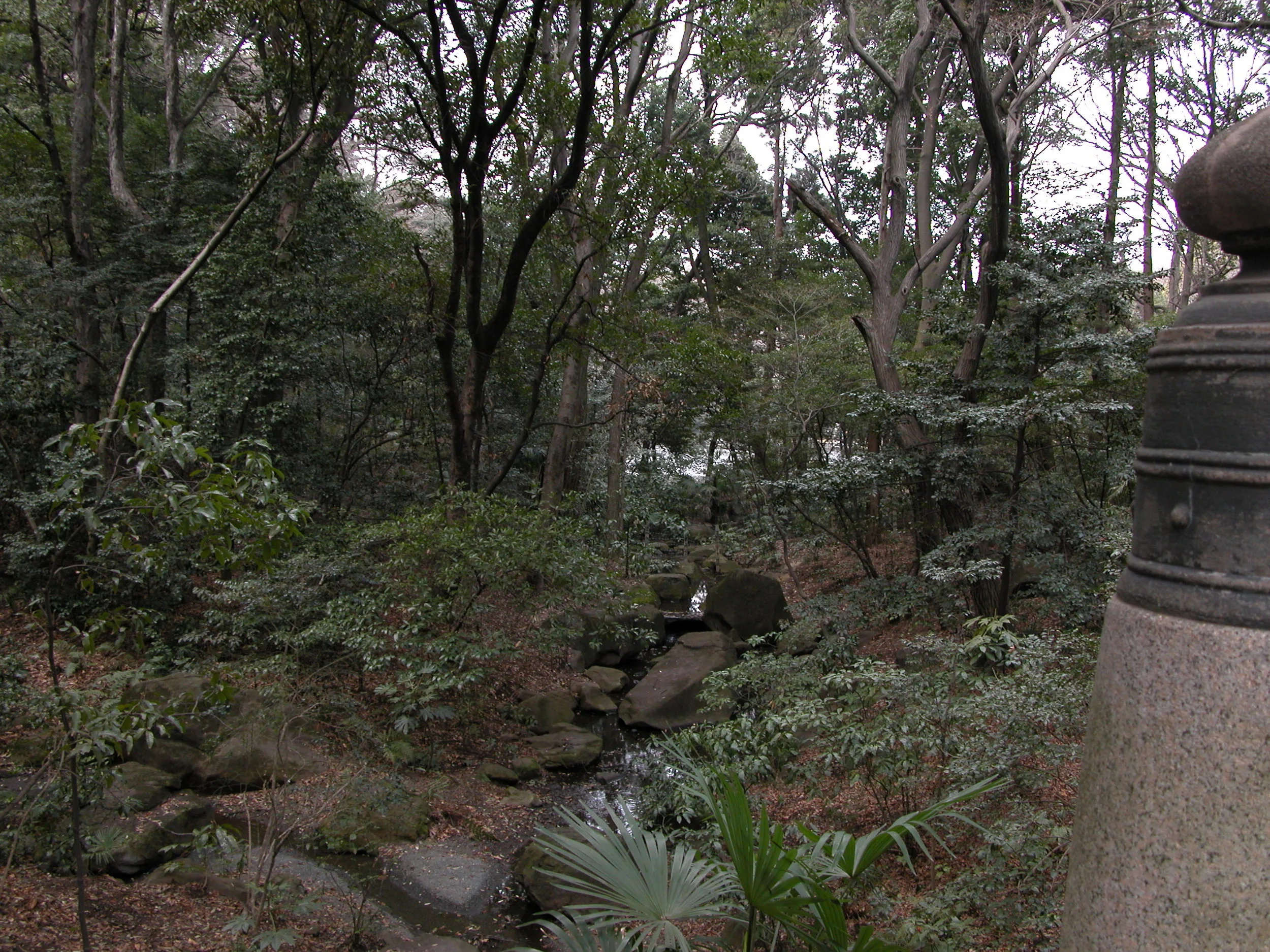  Garden inside park 