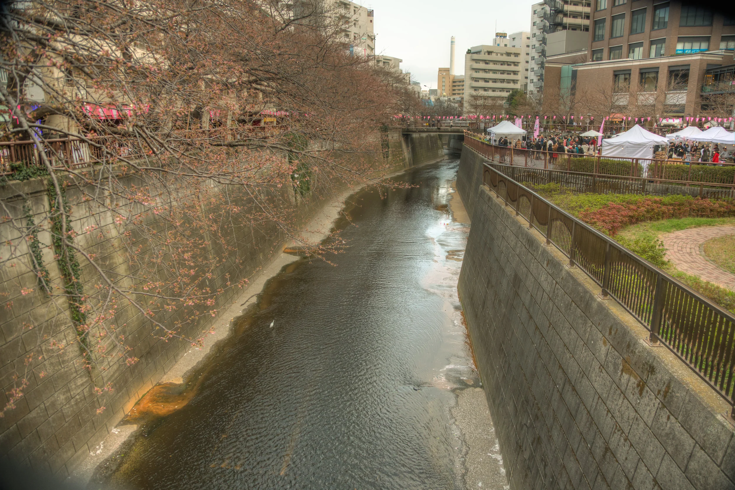  Exploring Megurogawa canal area for the first time, but a littly early for the blossoms 