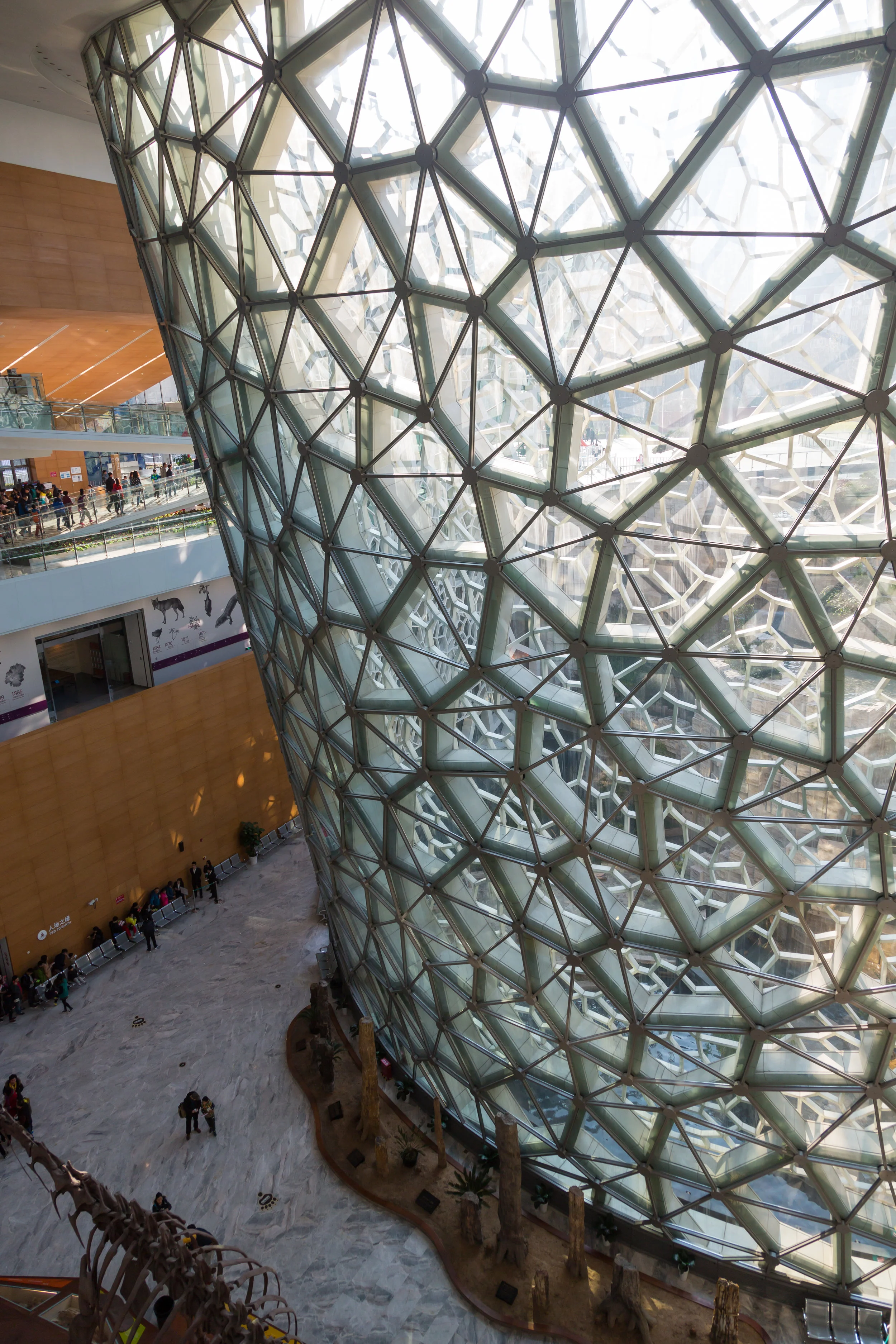  Impressive interior of the new Shanghai Natural History Museum 