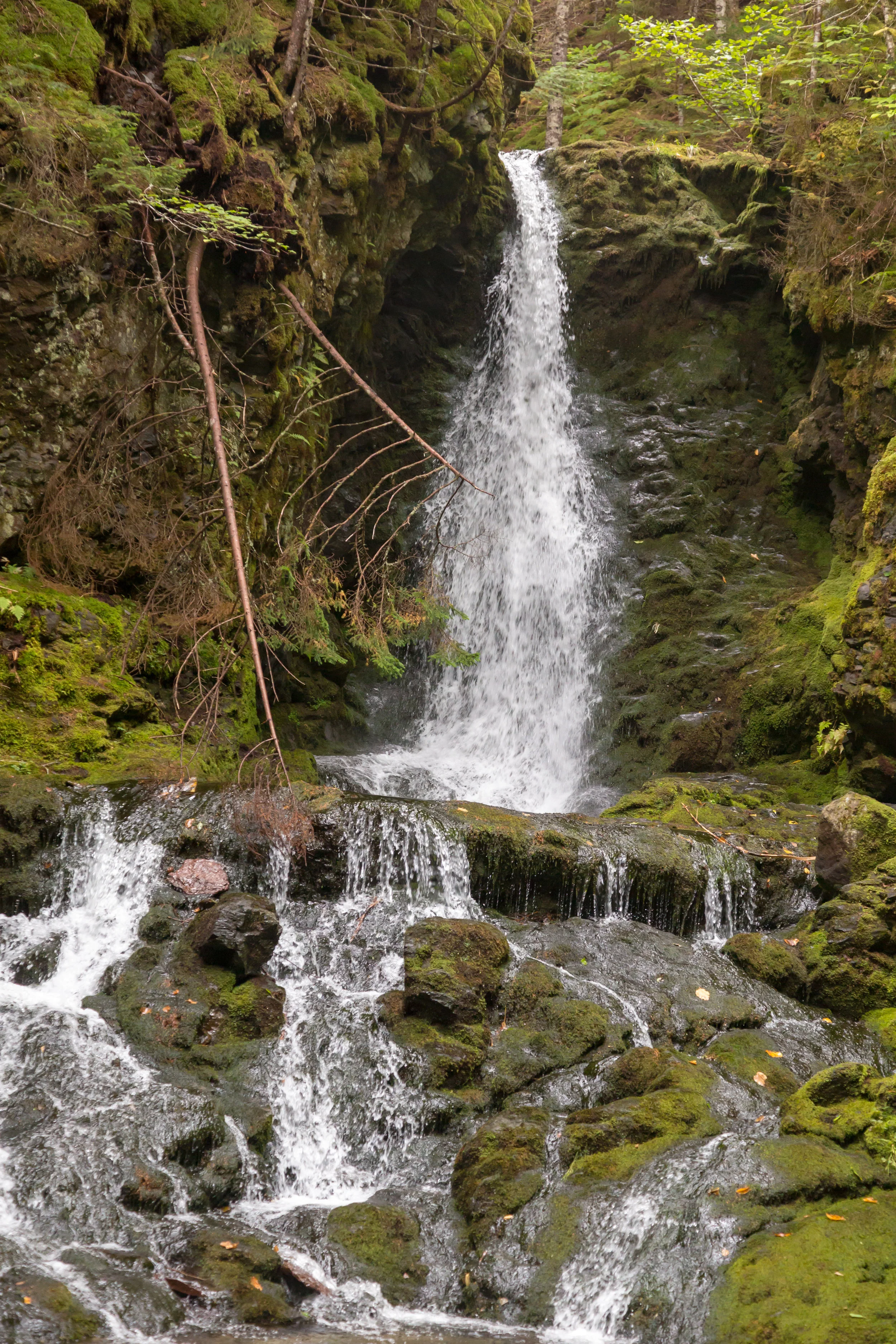  Dickson Falls, the payoff for the short hike 