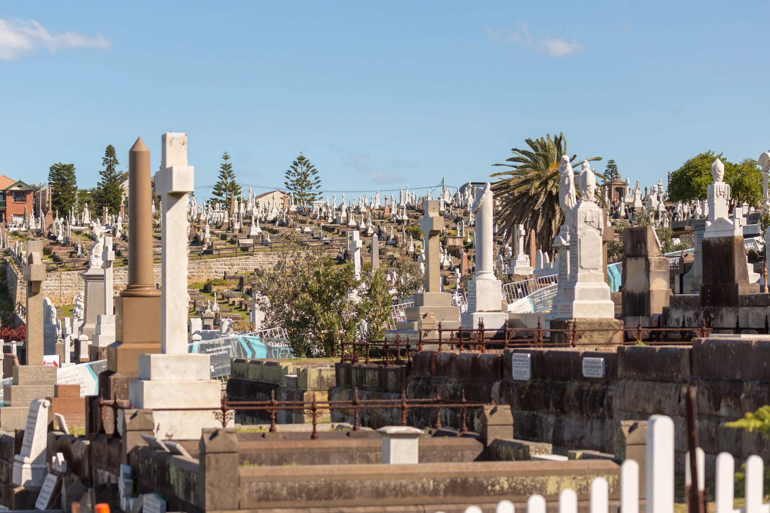  Cemetery with a view along the trail 