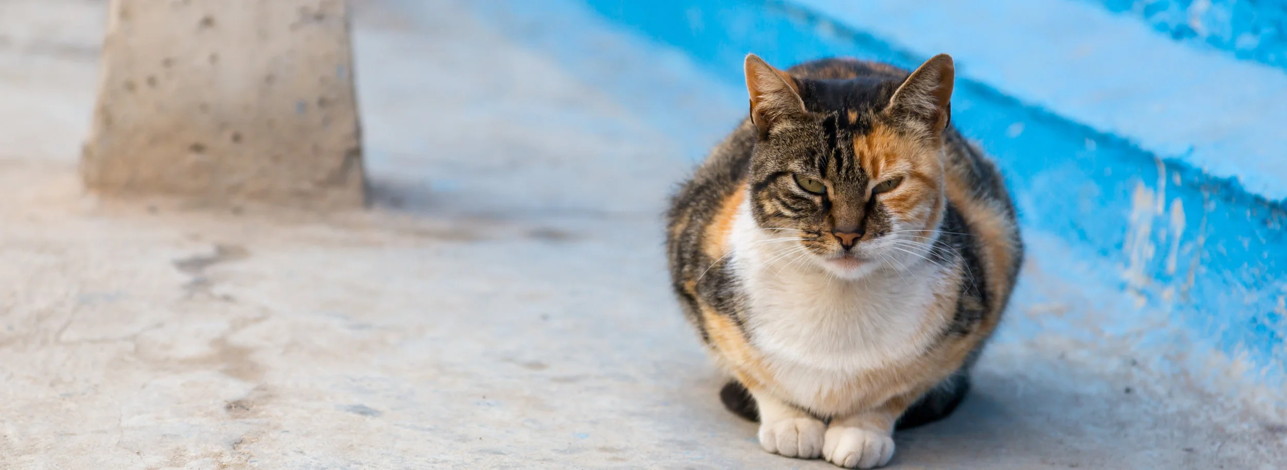 Vancouver and Casablanca