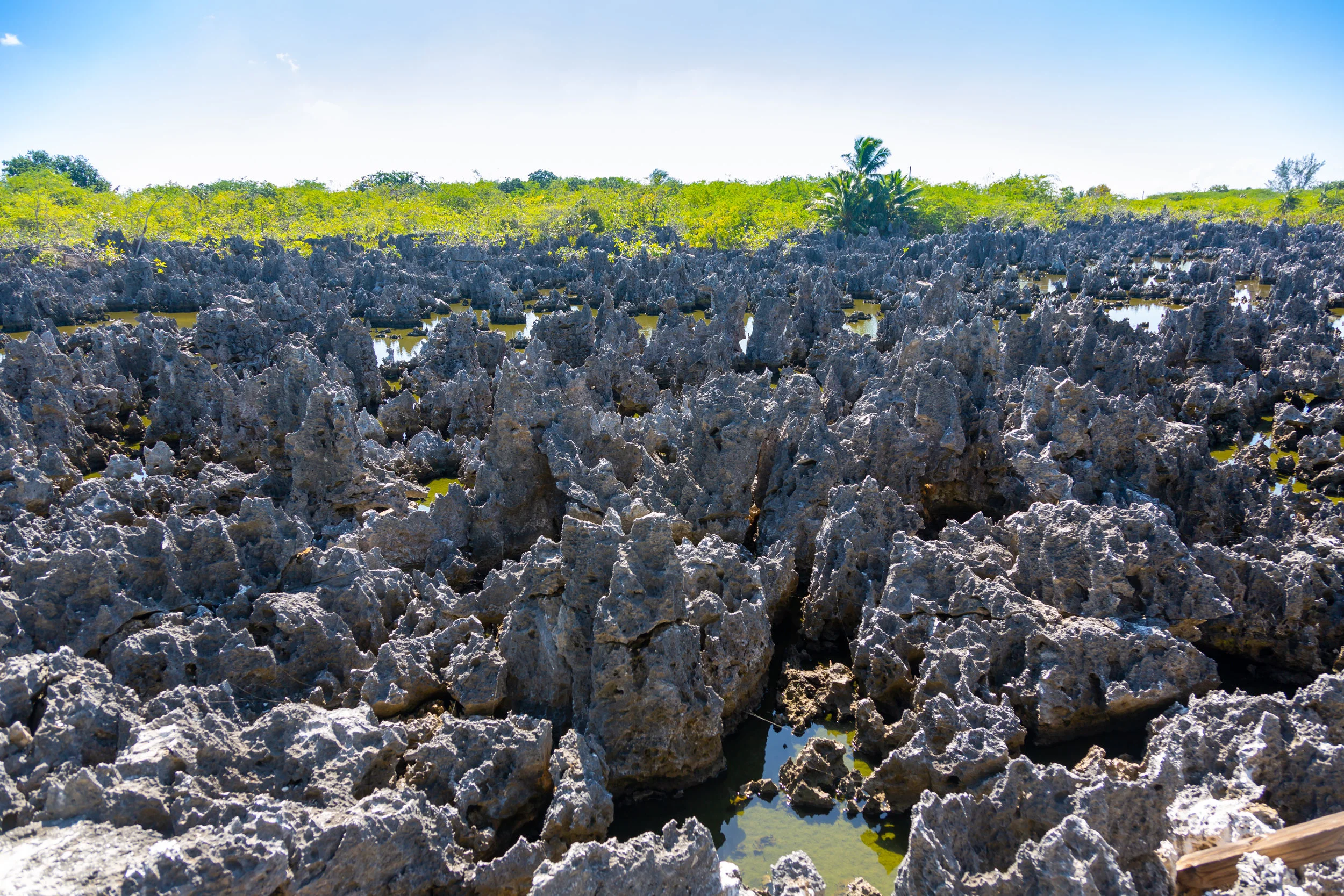  The limestone formations in Hell 