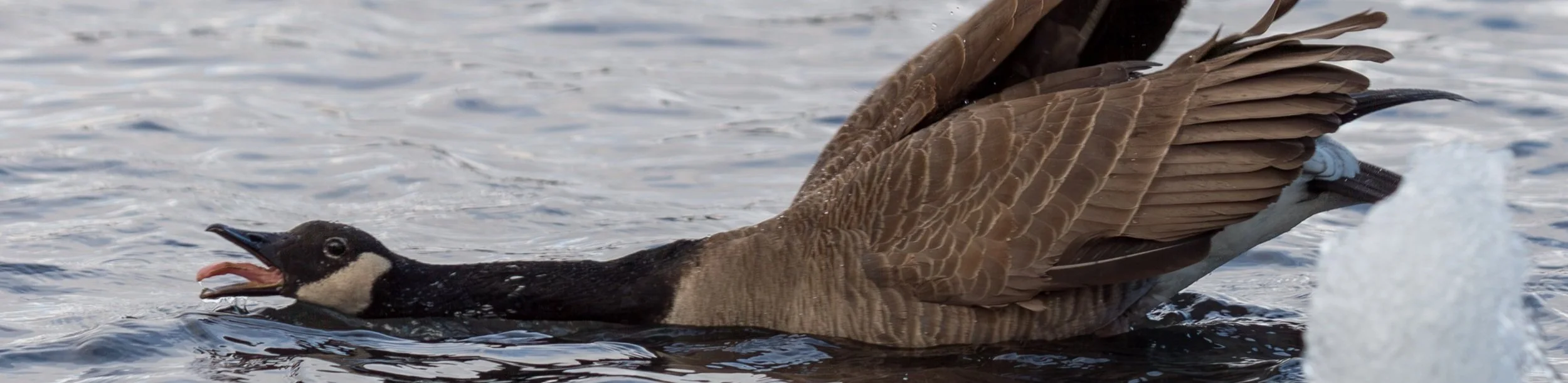 Vancouver and the Sunshine Coast