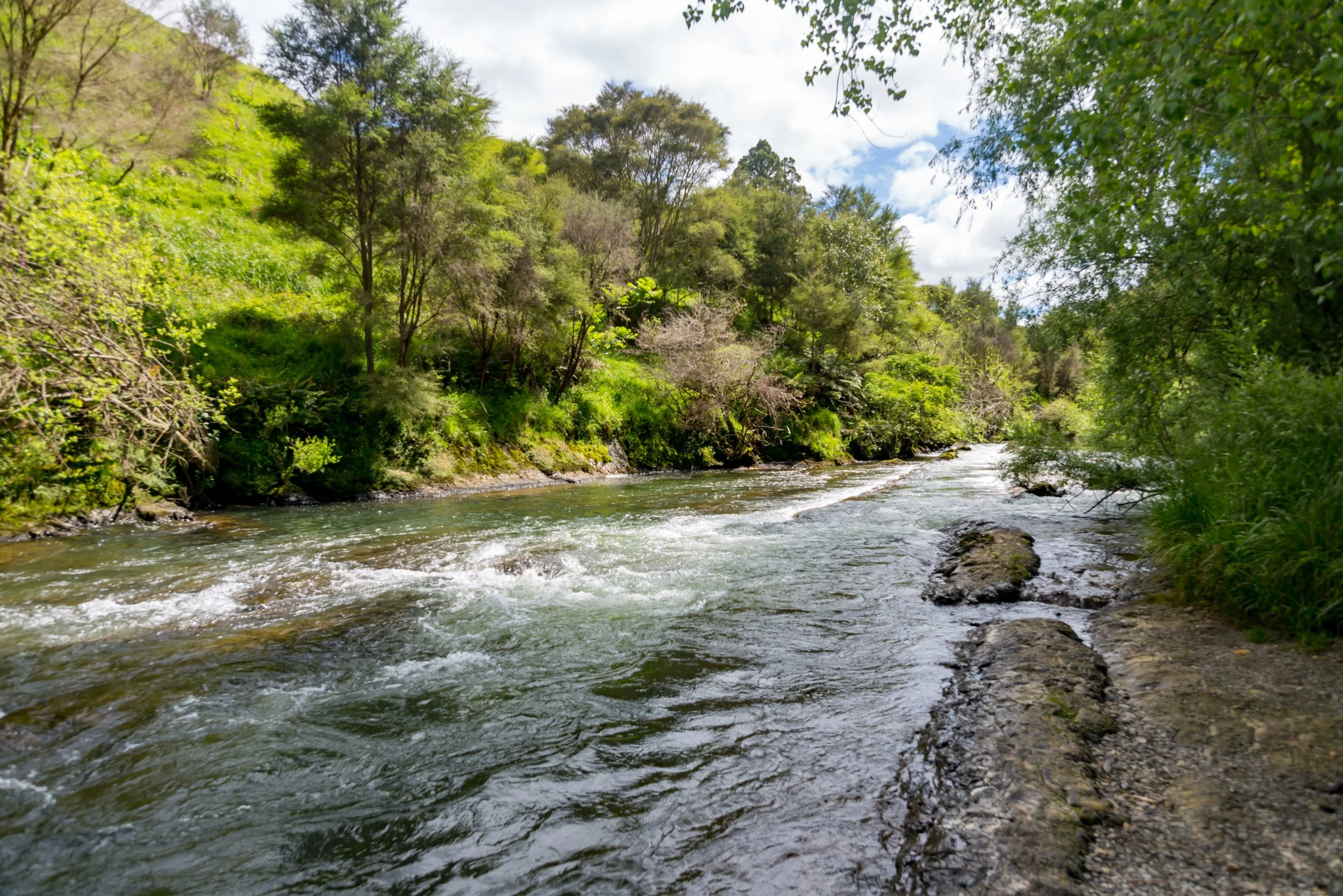 New Zealand and Fiji — Gord's Travelblog