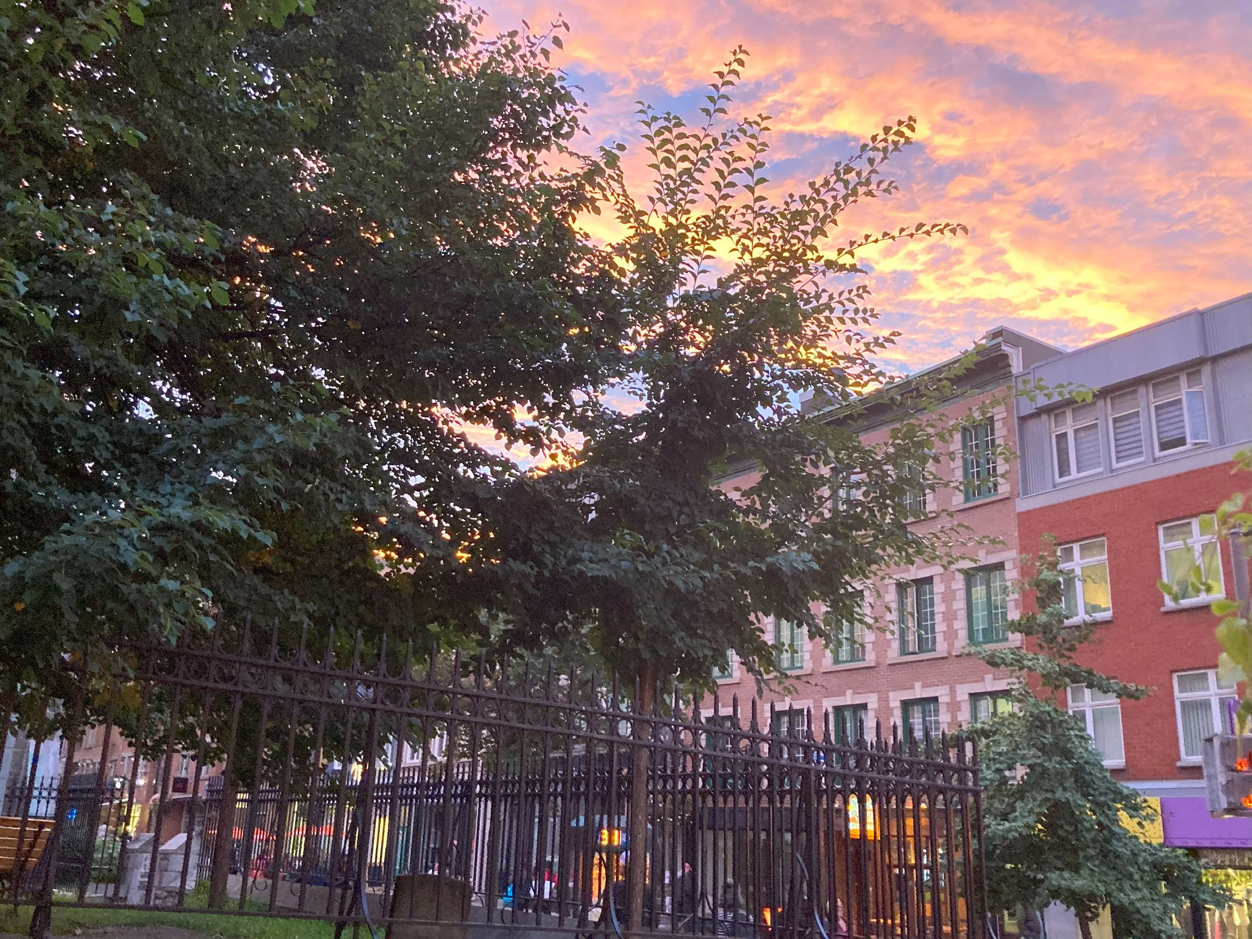  Dusk over Saint-Matthew Cemetery 