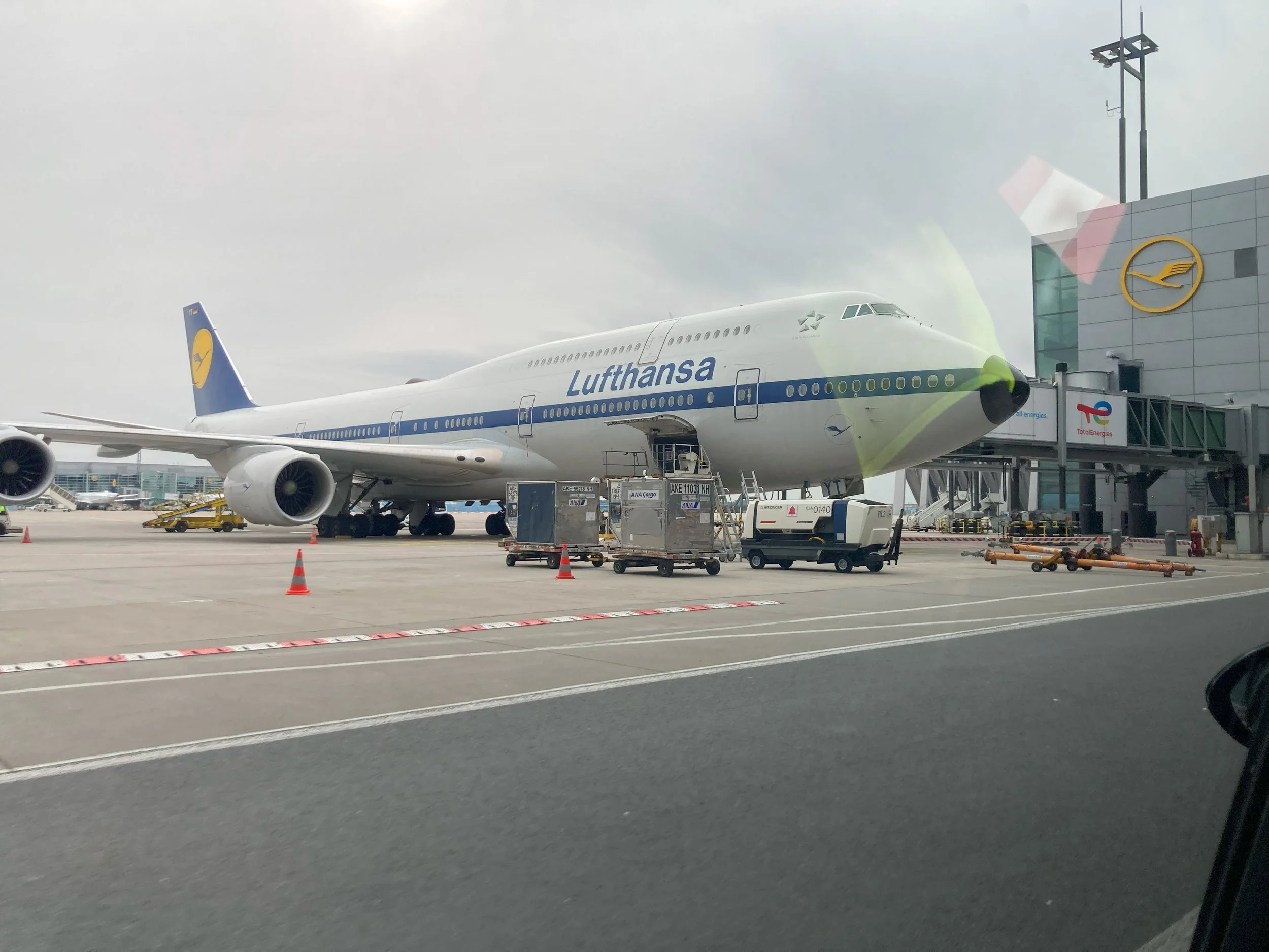  Our retro painted 747-800, colloquially named "Yankee Tango" after its registration D-ABYT.  We would have a good portion of the main deck front cone, below the pilots. 