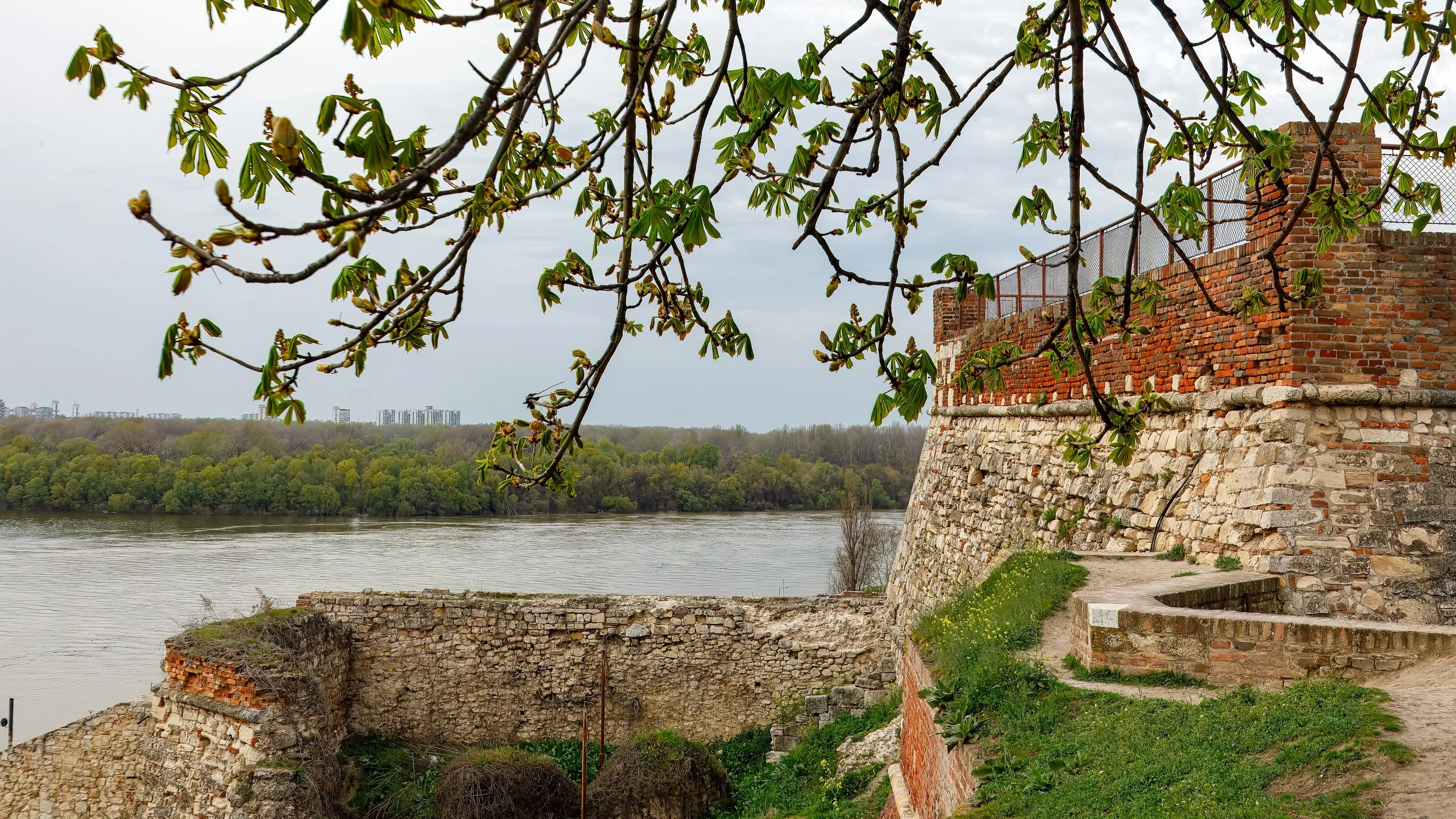  Looking across the Sava from the Fortress 