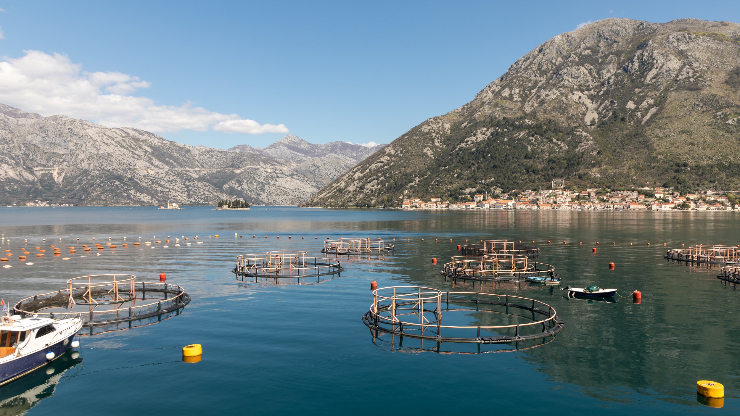  Heading in the opposite direction west on the south west shore of the Bay of Kotor 