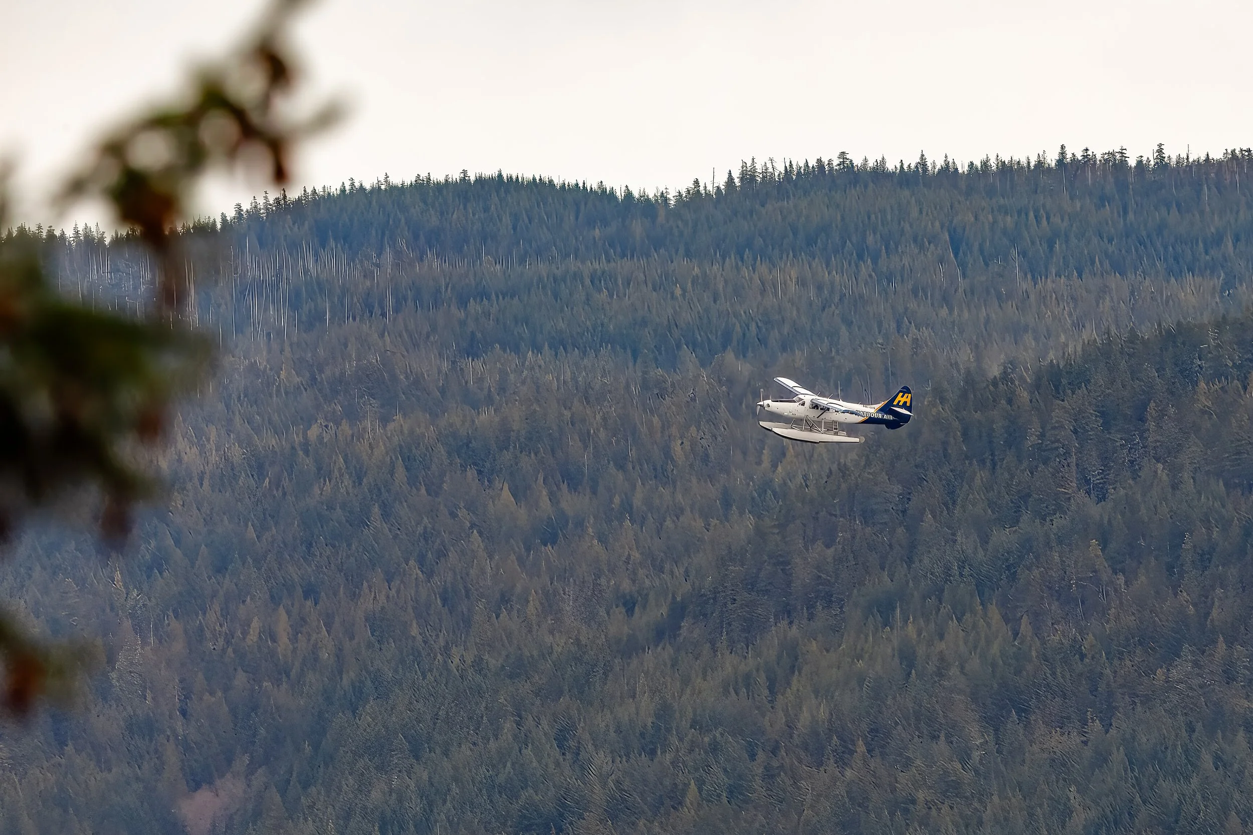  Watching the float planes on approach 