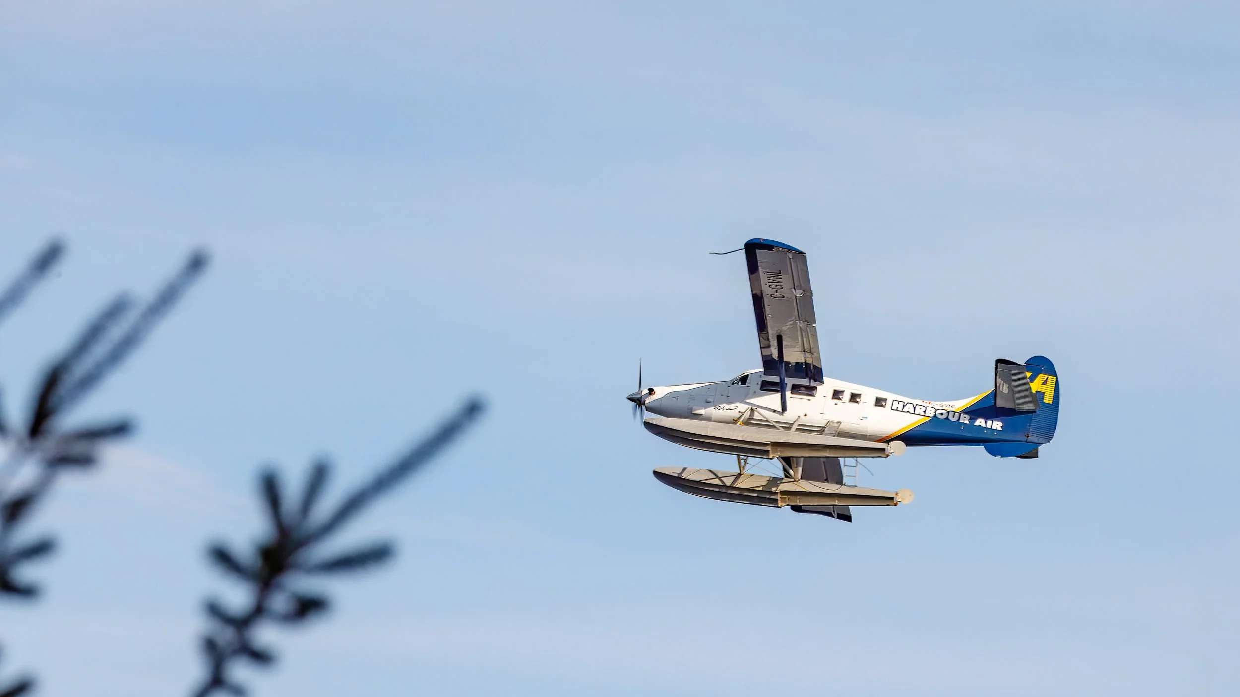  Watching the Harbour Air landing 