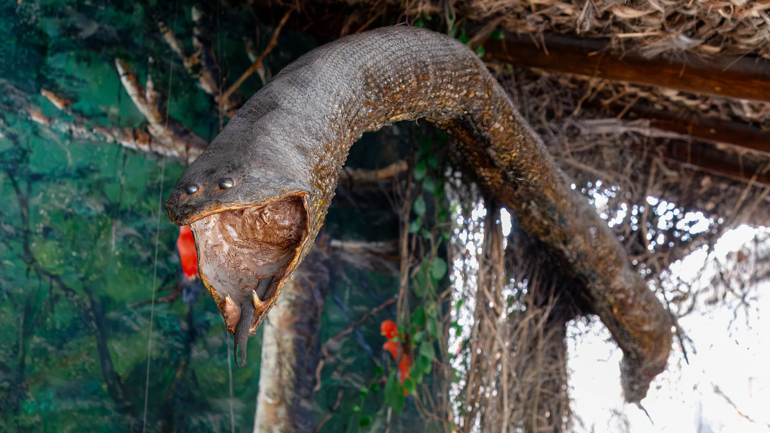  Anaconda skin was part of the Amazon region display 