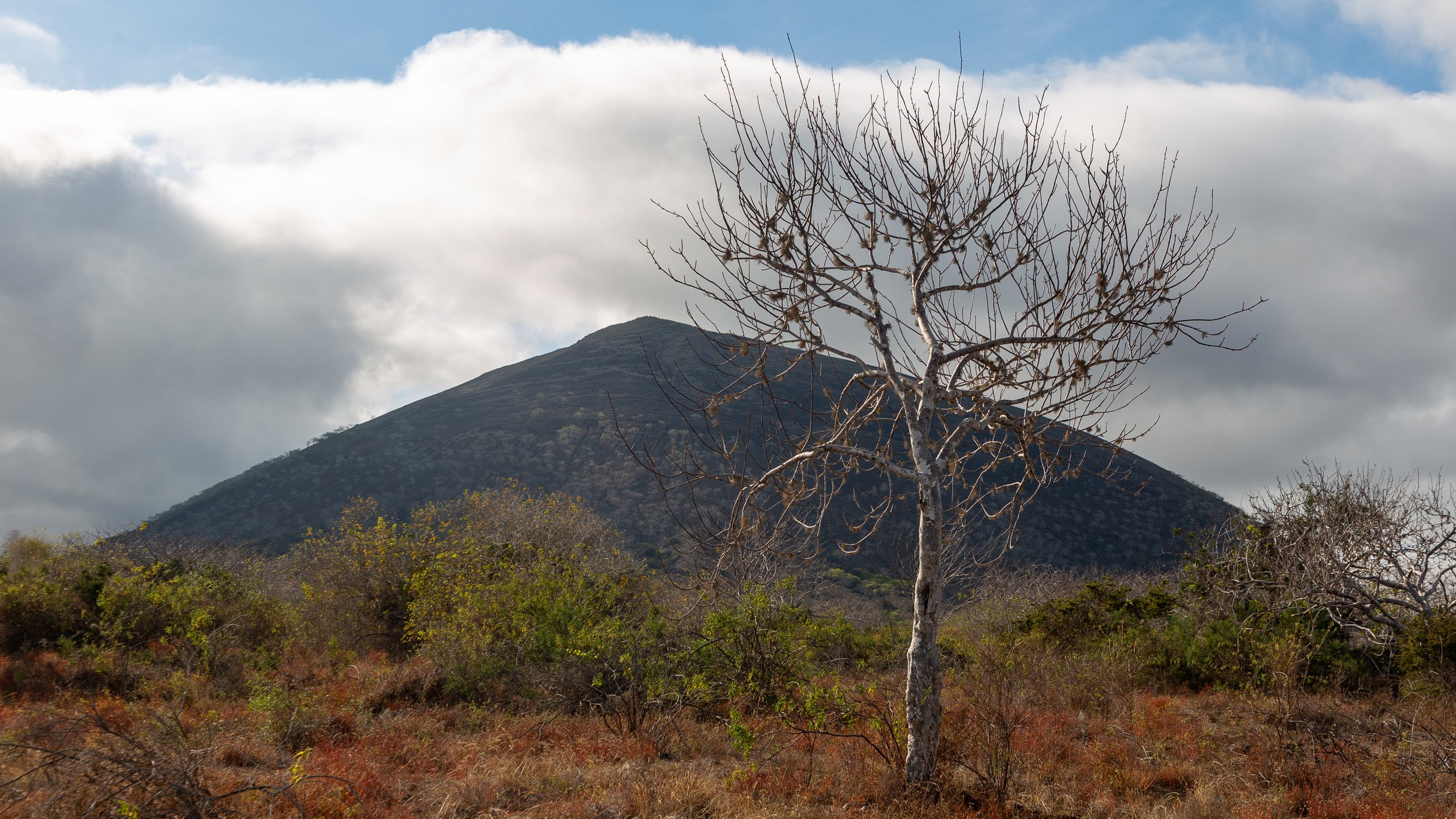  One of the volcanic mountains of Santiago Island 
