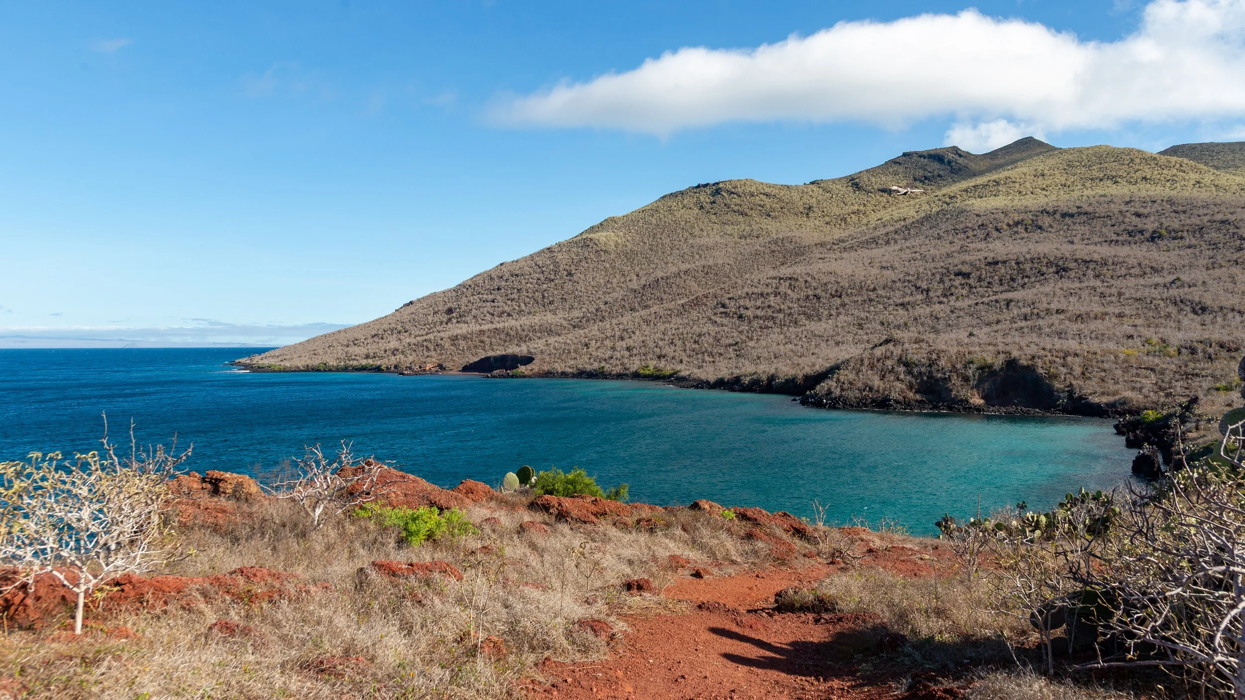  Red sand contrasts with the greenery of the remainder of the island 
