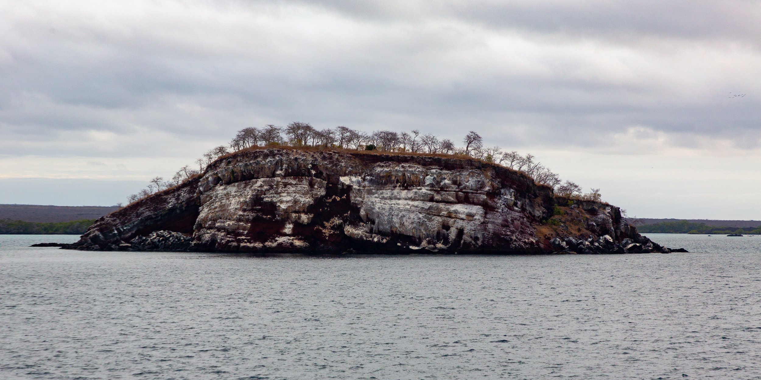  A small island on our way into the bay 
