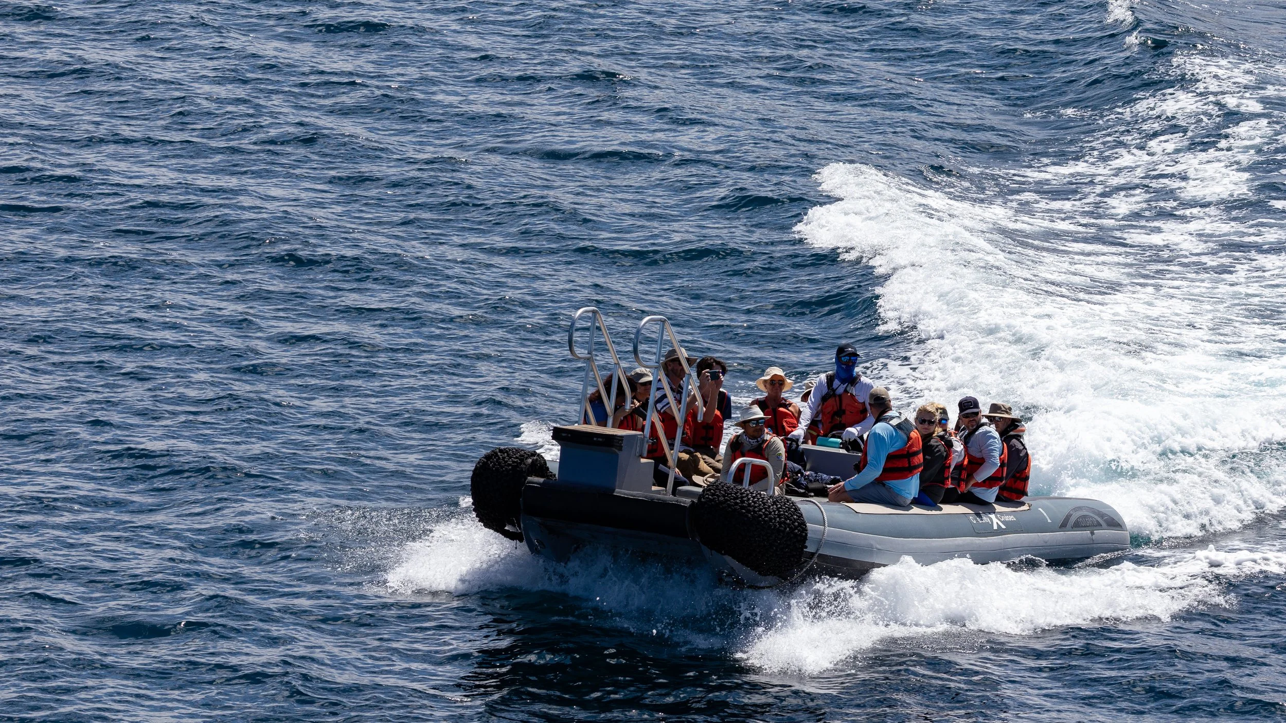  Tender heading to dry landing on Tagus Cove 