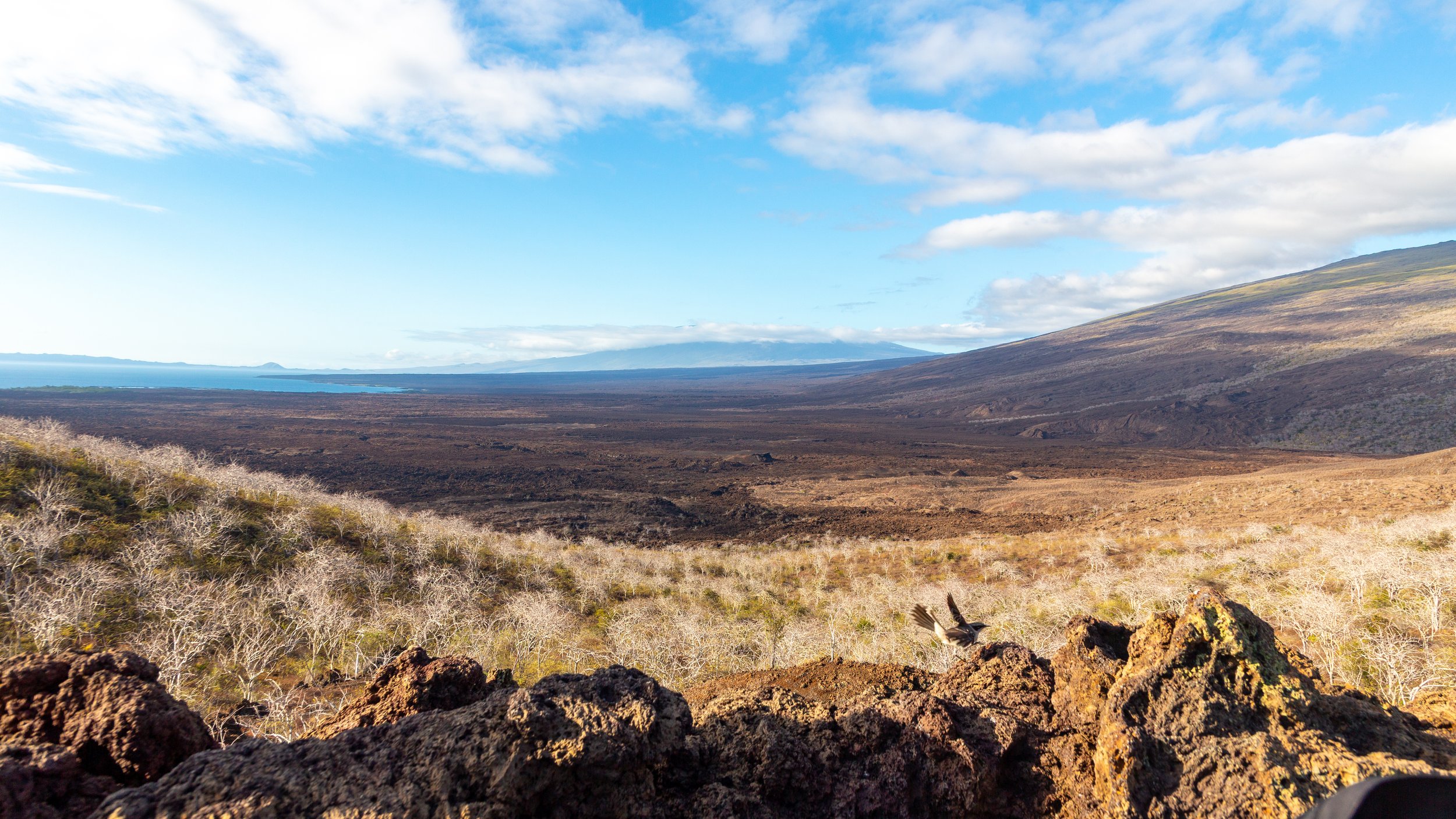  More of the volcanic terrain with one of the many cones 