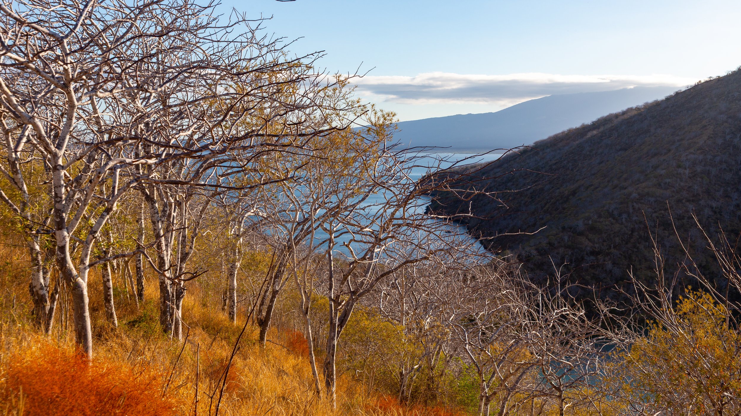  Our last view of the cove with more of Isabela Island in the background 